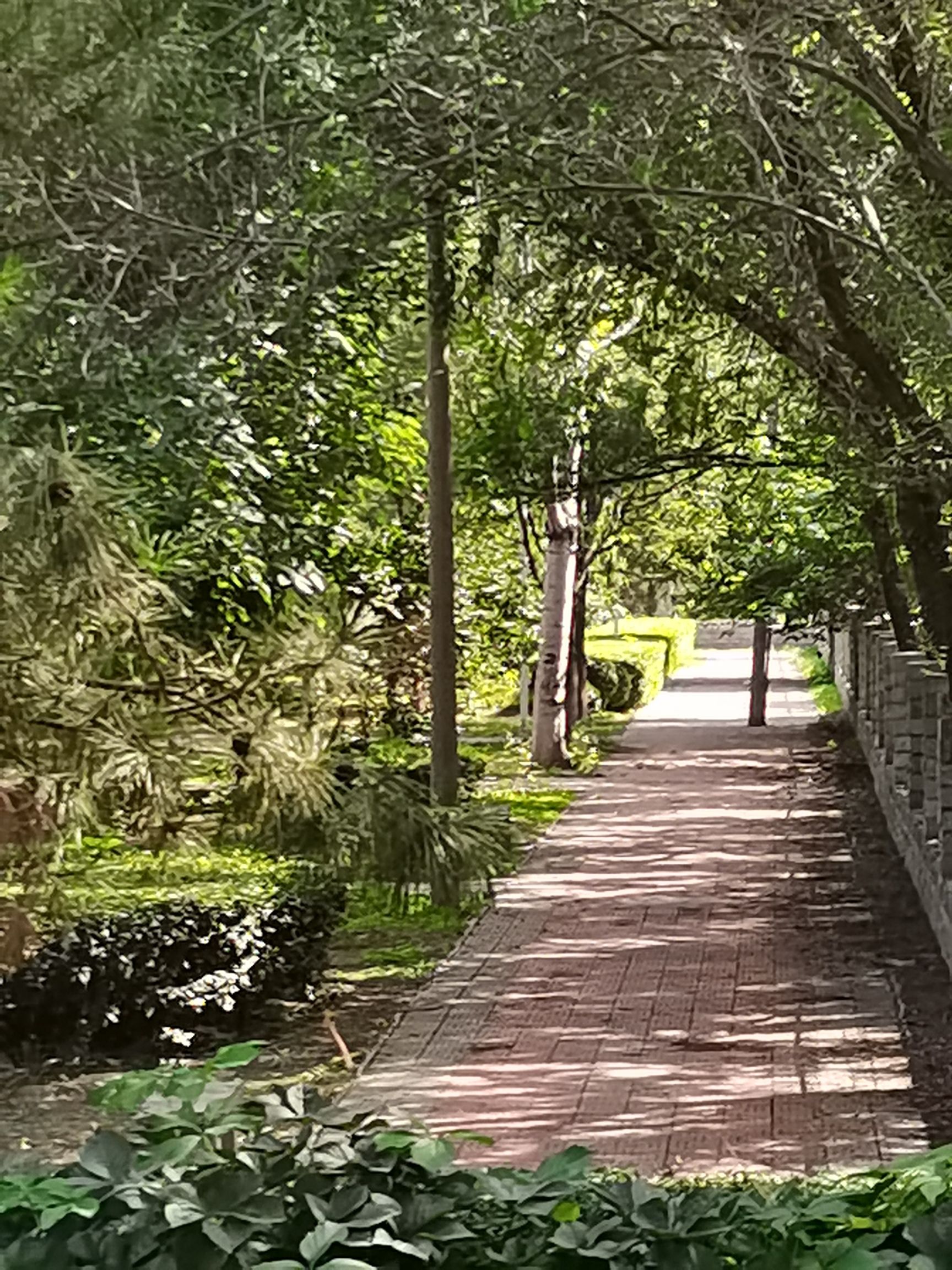 西山公园旅行图片 3
