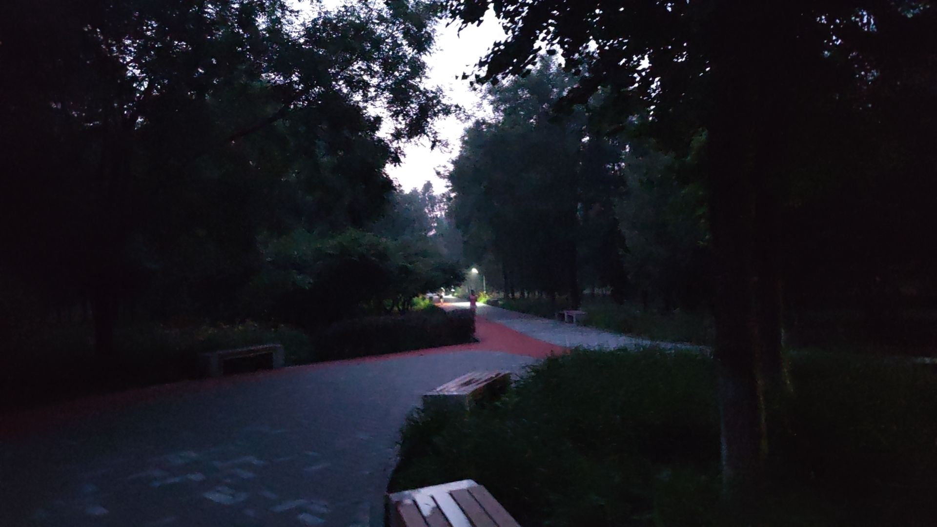高鑫公园旅行图片 2