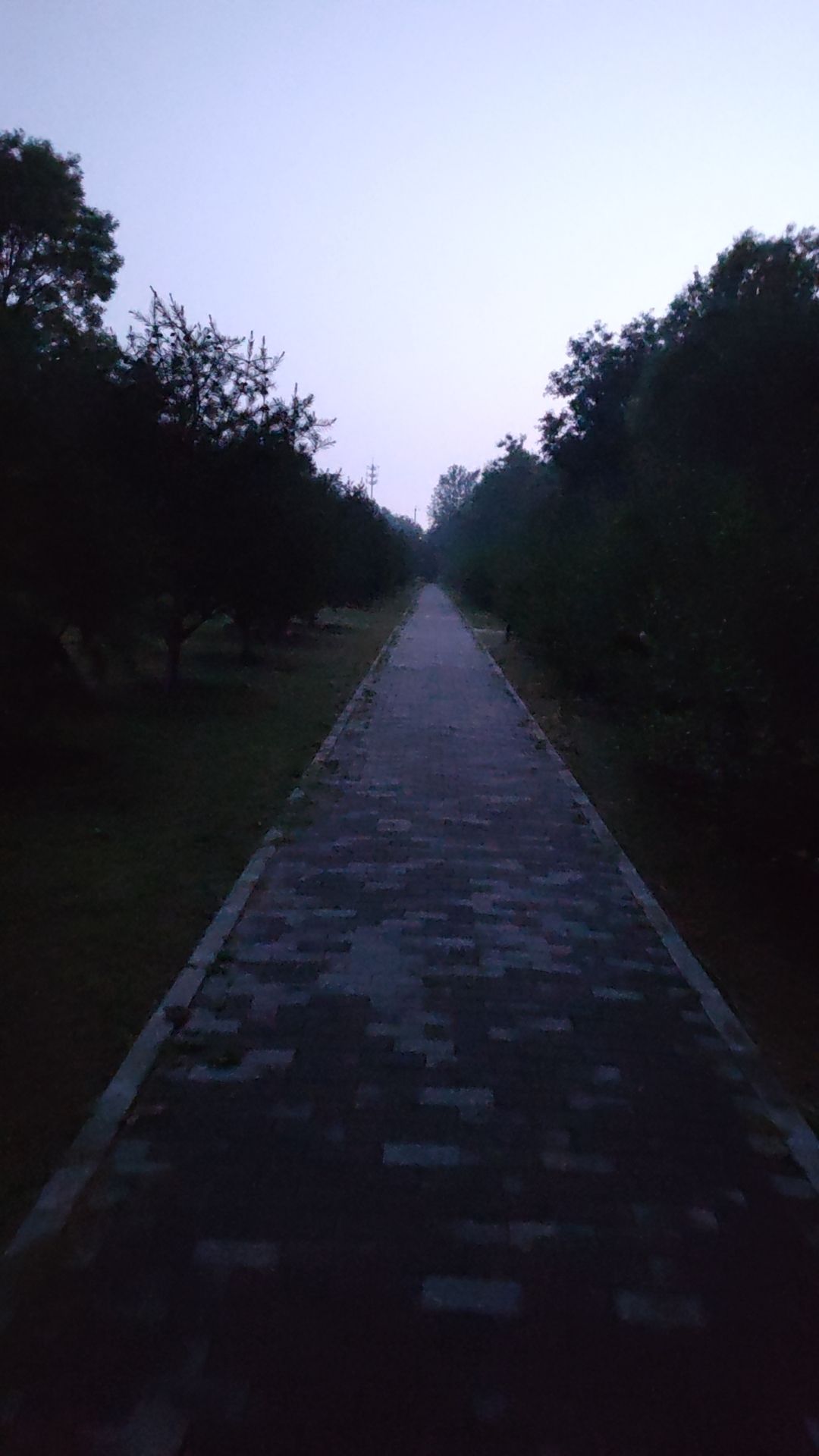 高鑫公园旅行图片 3