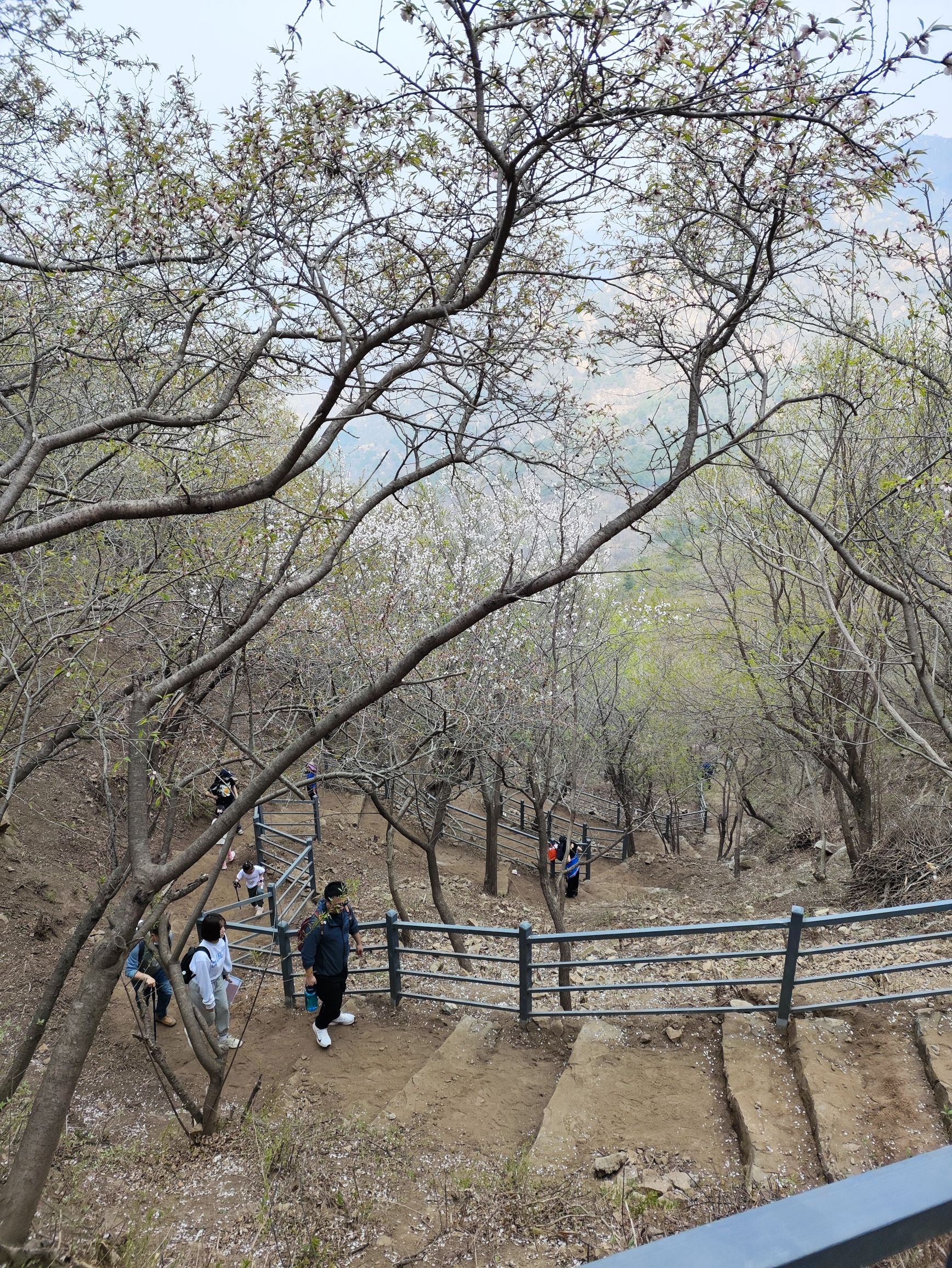 长寿村望宝川旅行图片 3