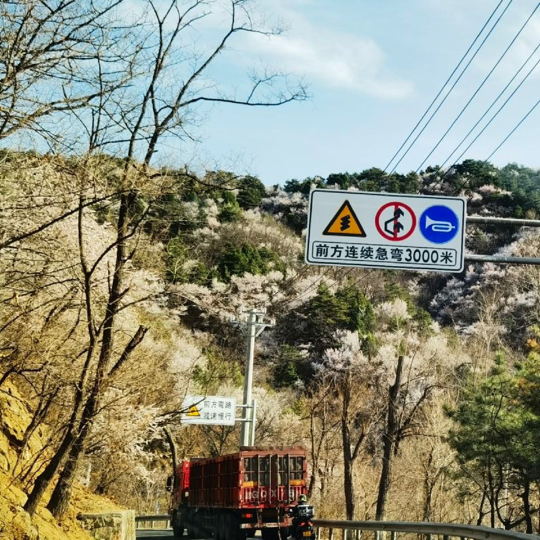 长寿村望宝川旅行图片 1
