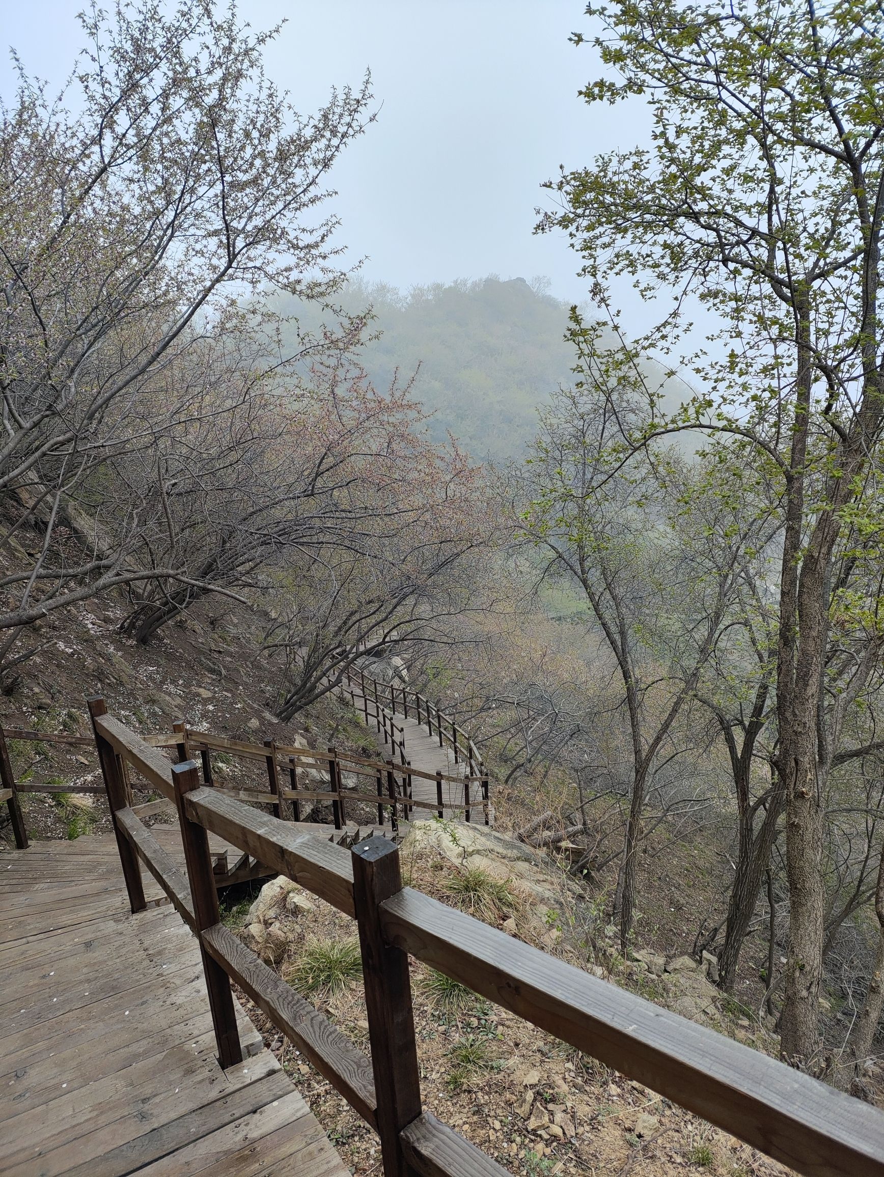 长寿村望宝川旅行图片 2