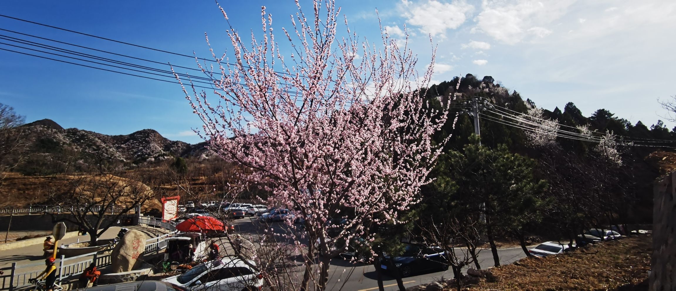 长寿村望宝川旅行图片 3