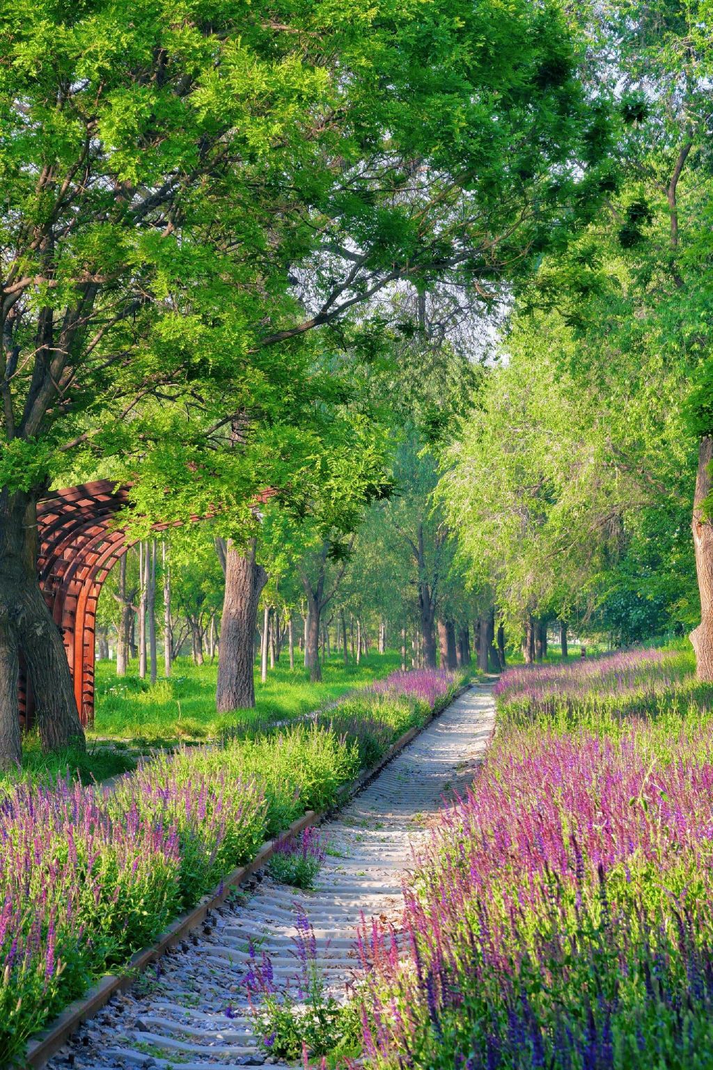 桃苑公园旅行图片 1