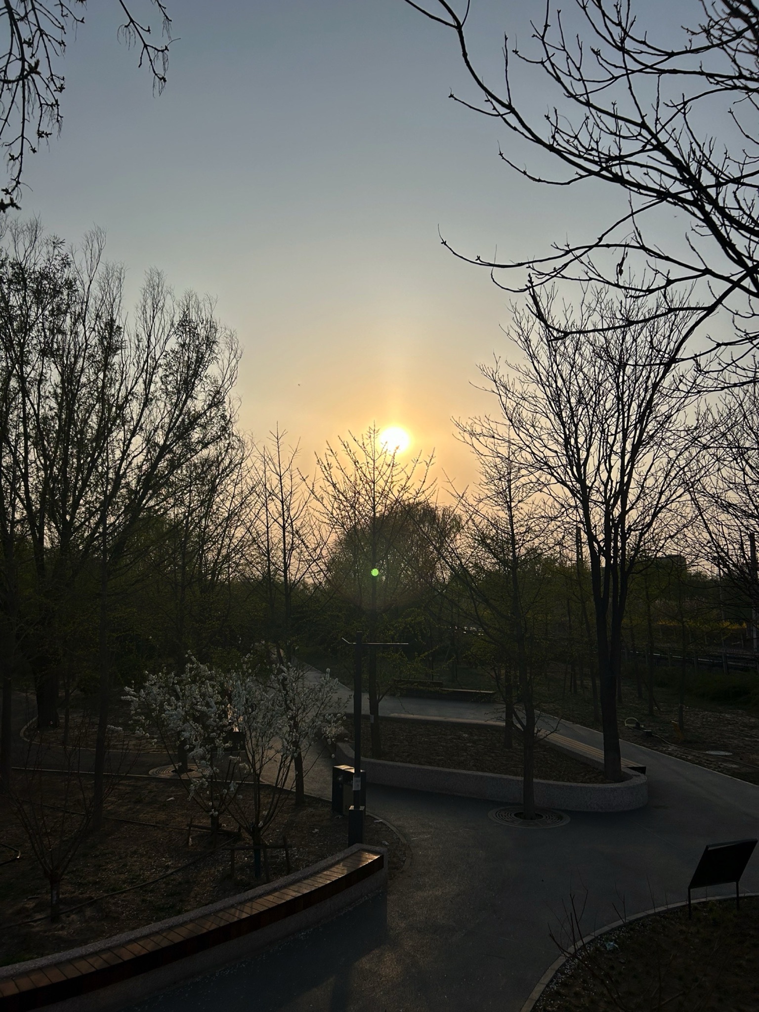 桃苑公园旅行图片 1