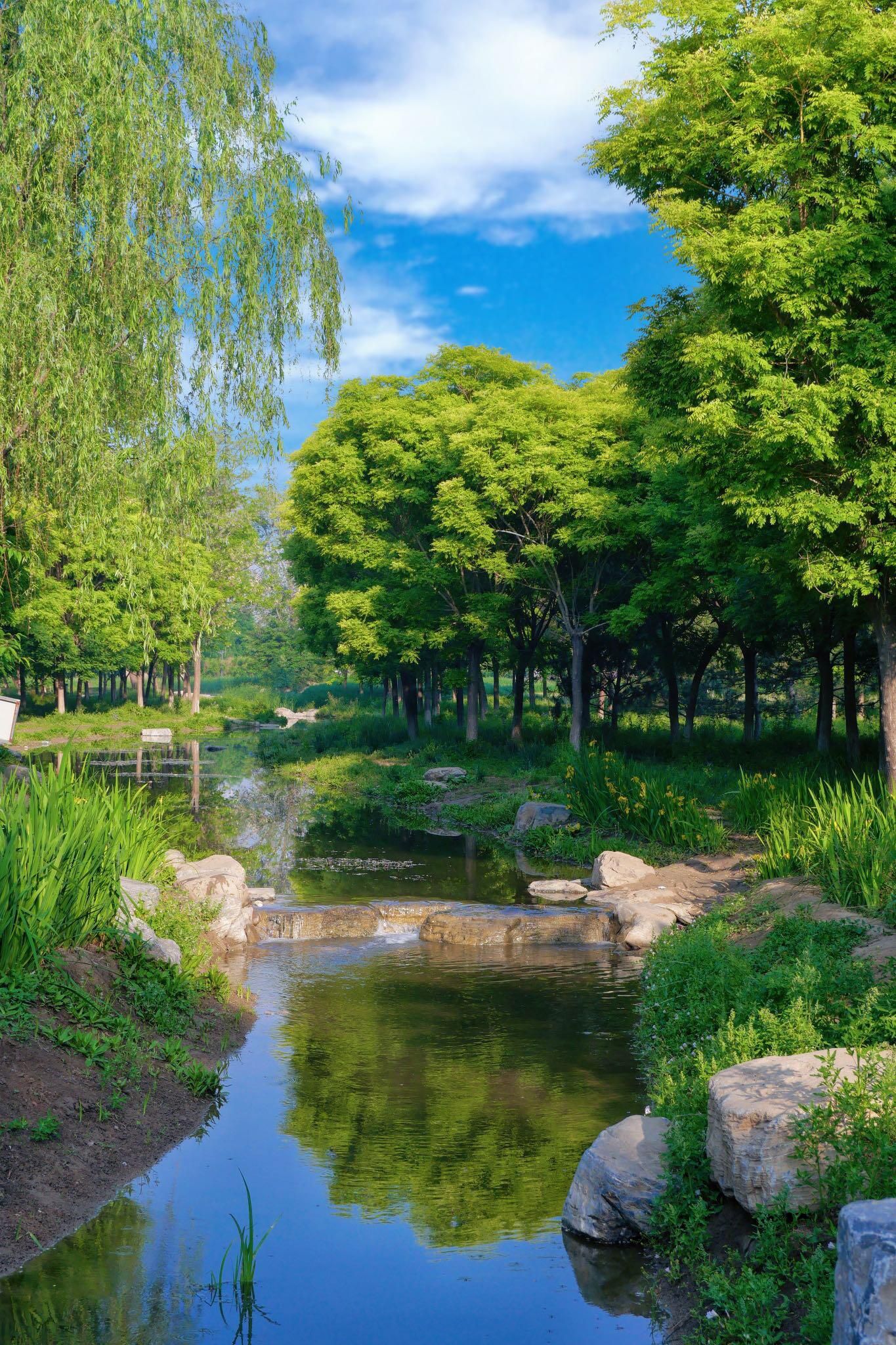 桃苑公园旅行图片 3