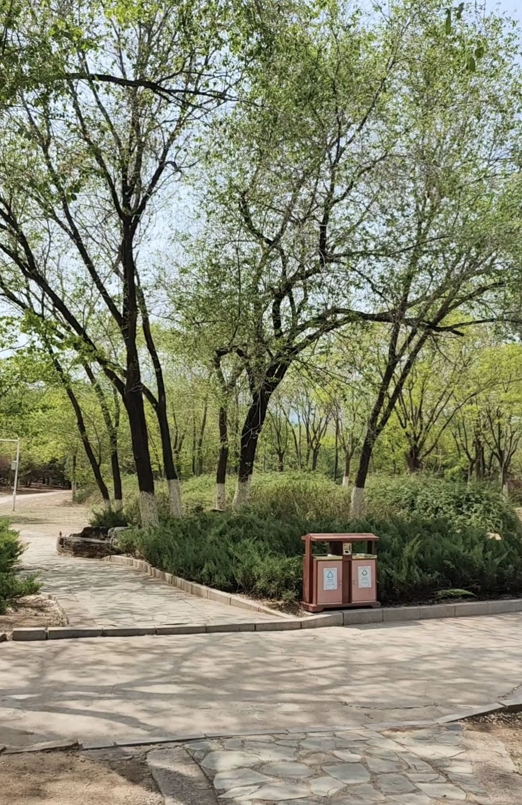 滨河世纪广场公园旅行图片 3