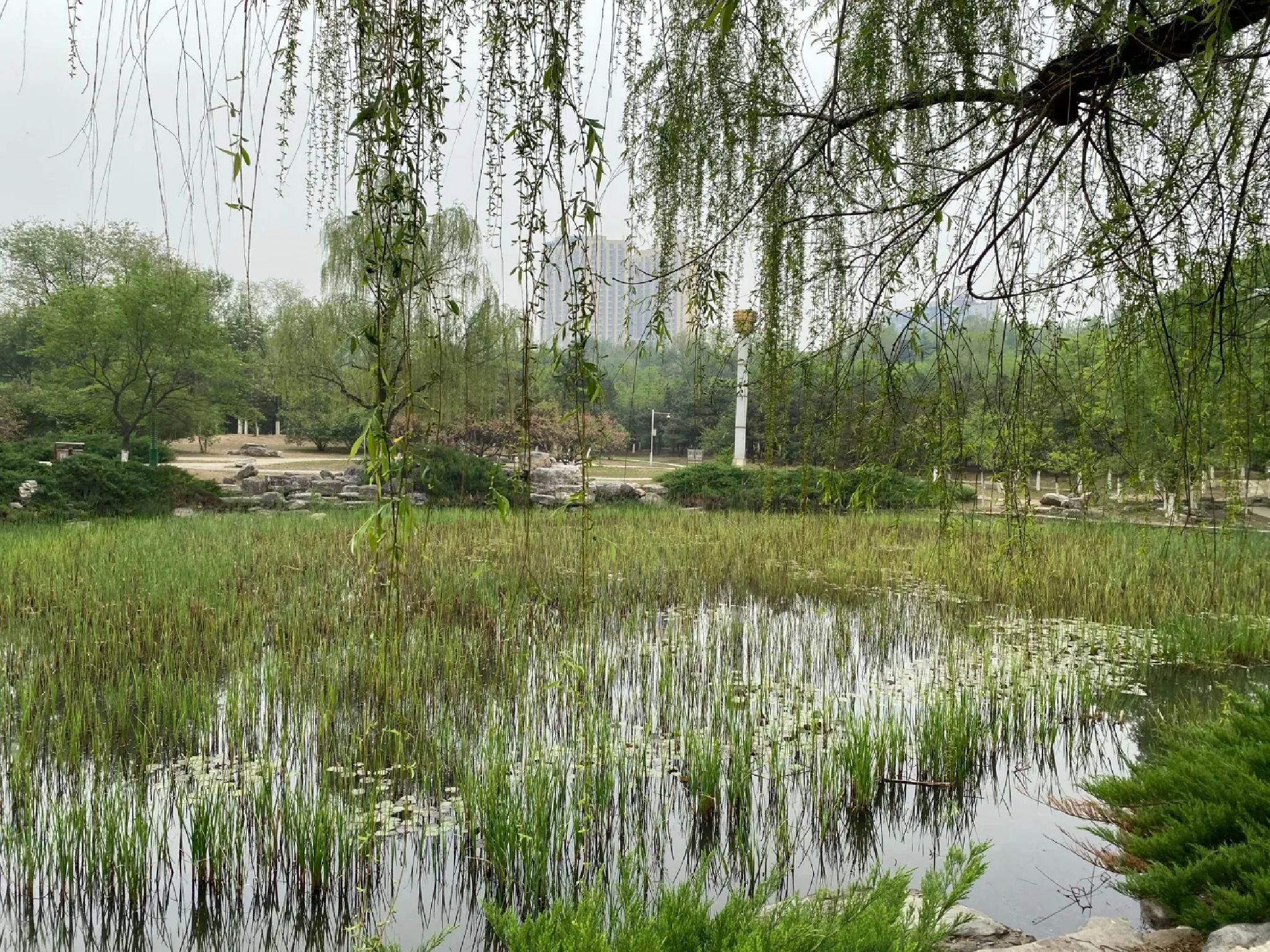滨河世纪广场公园旅行图片 1