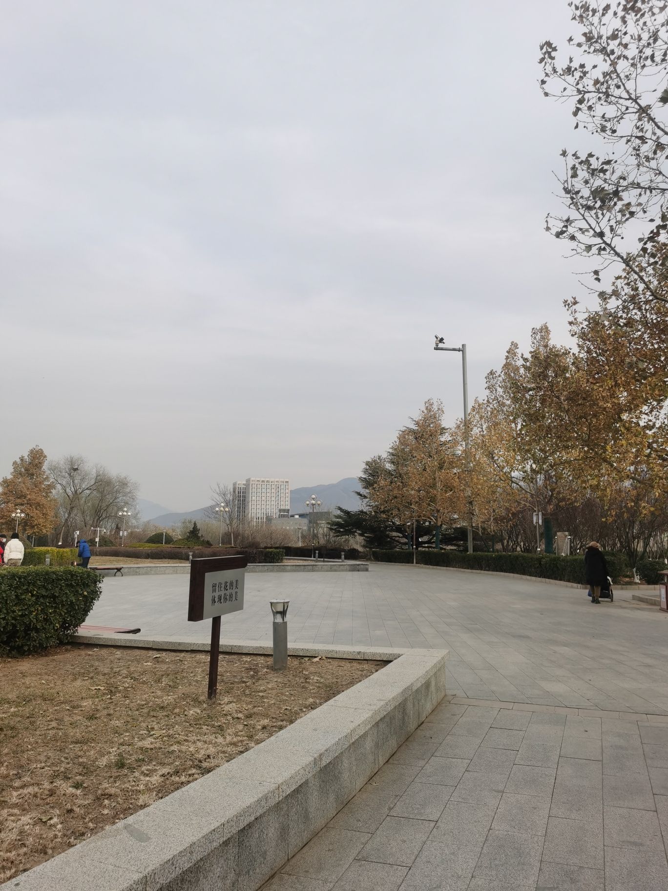 滨河世纪广场公园旅行图片 2