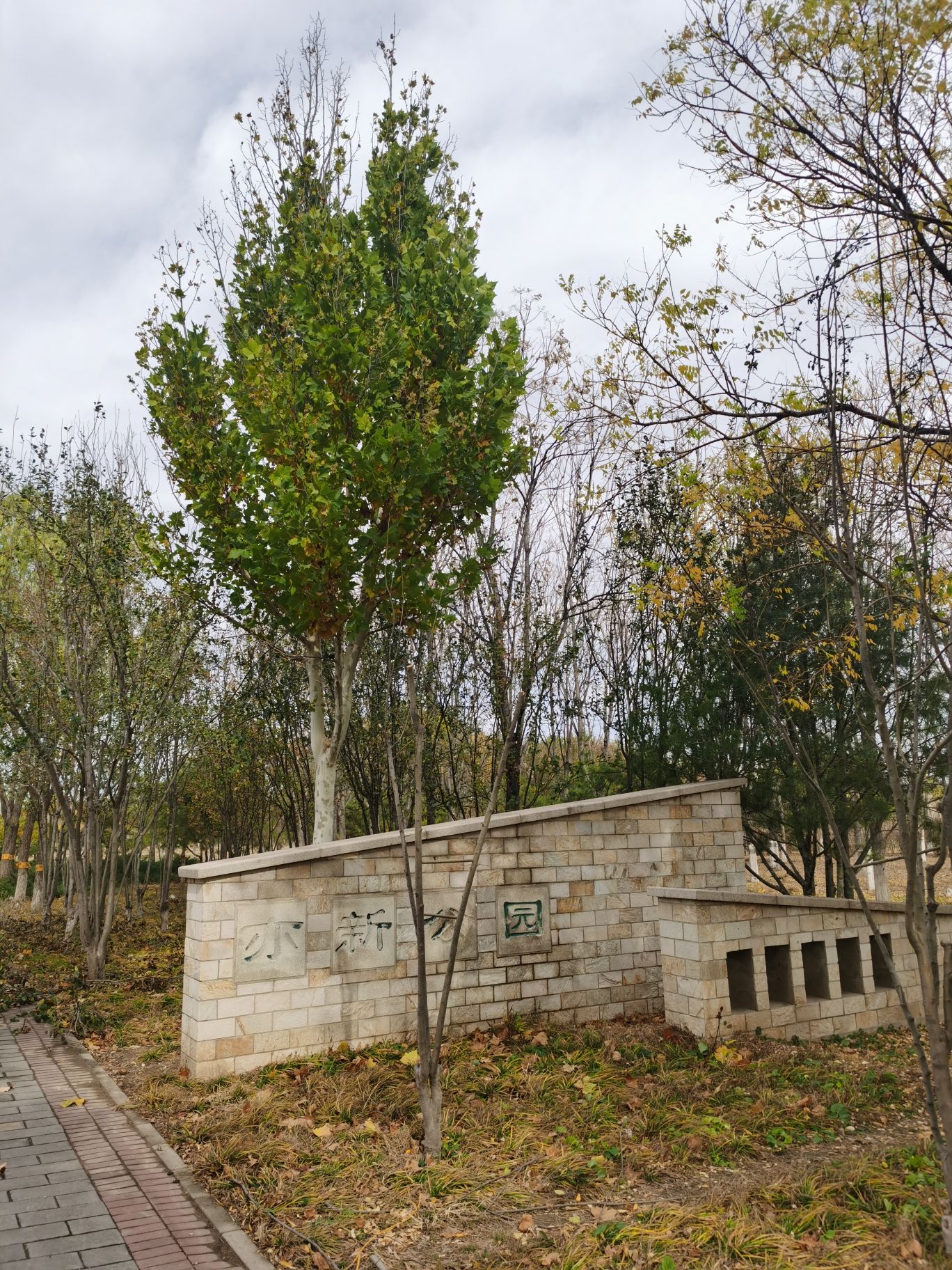 文化娱乐广场旅行图片 3