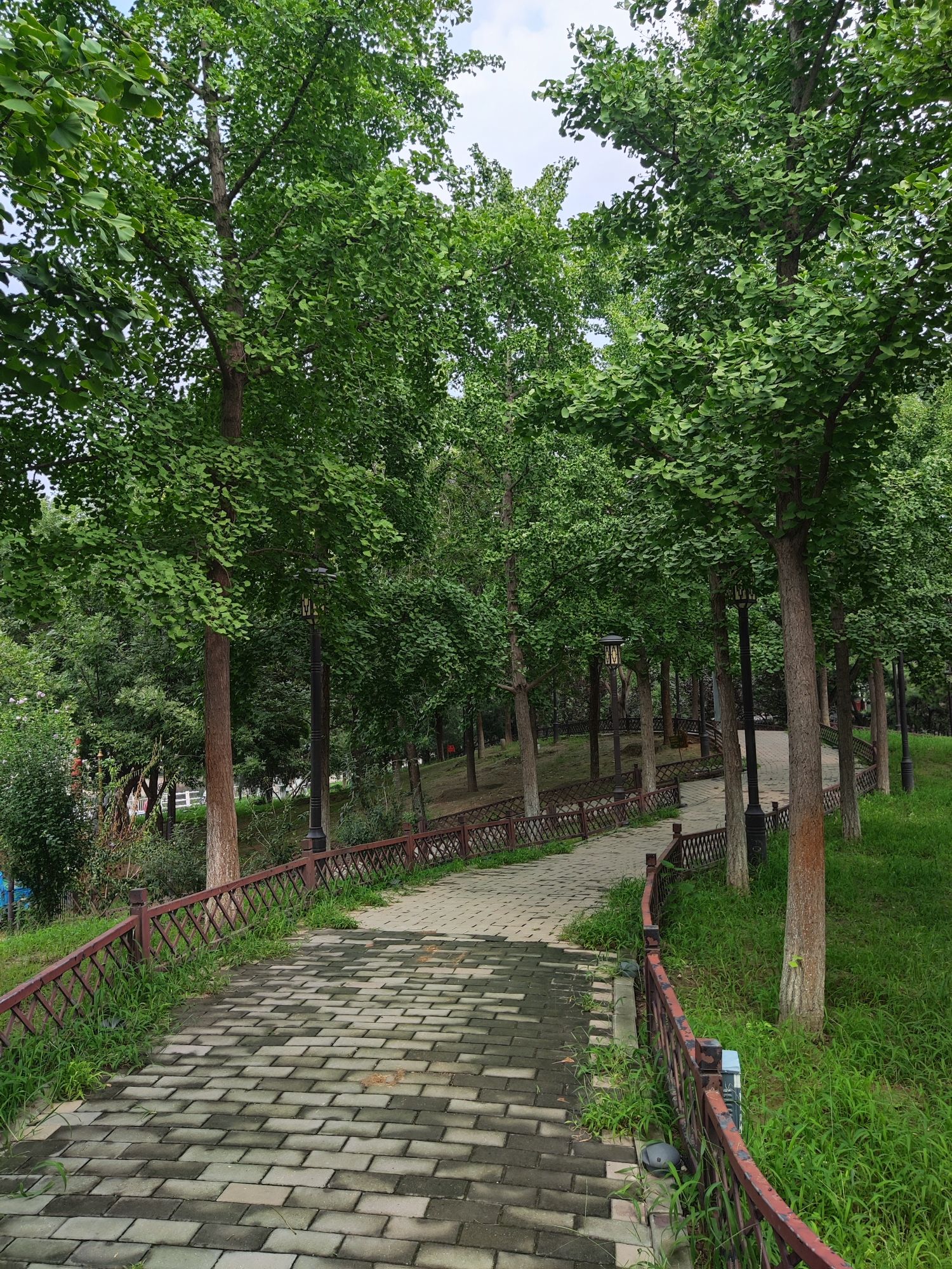 高碑店漕运历史文化游览区旅行图片 1