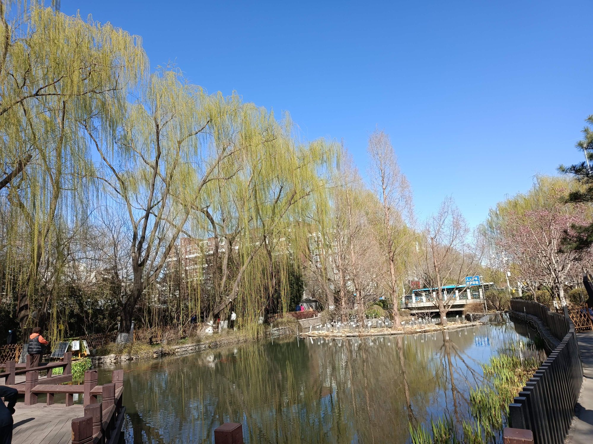 德胜公园旅行图片 2