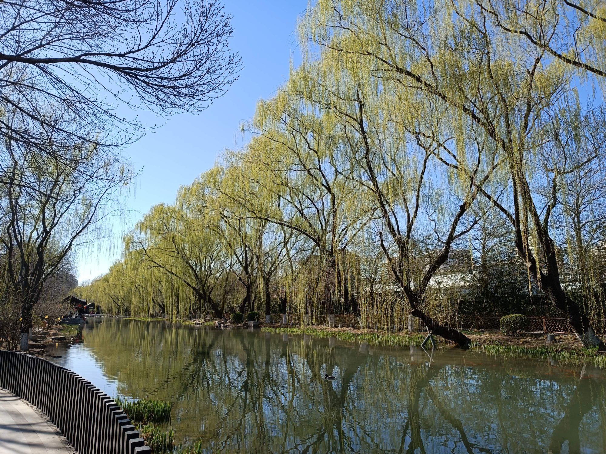 德胜公园旅行图片 1