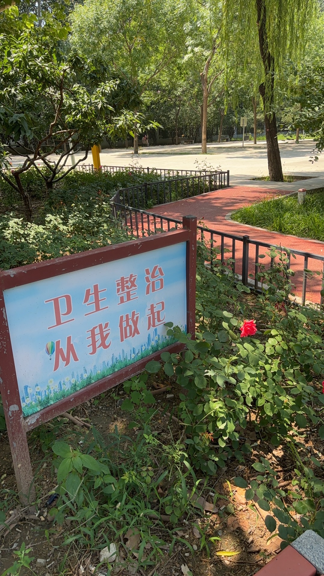 御康公园旅行图片 3