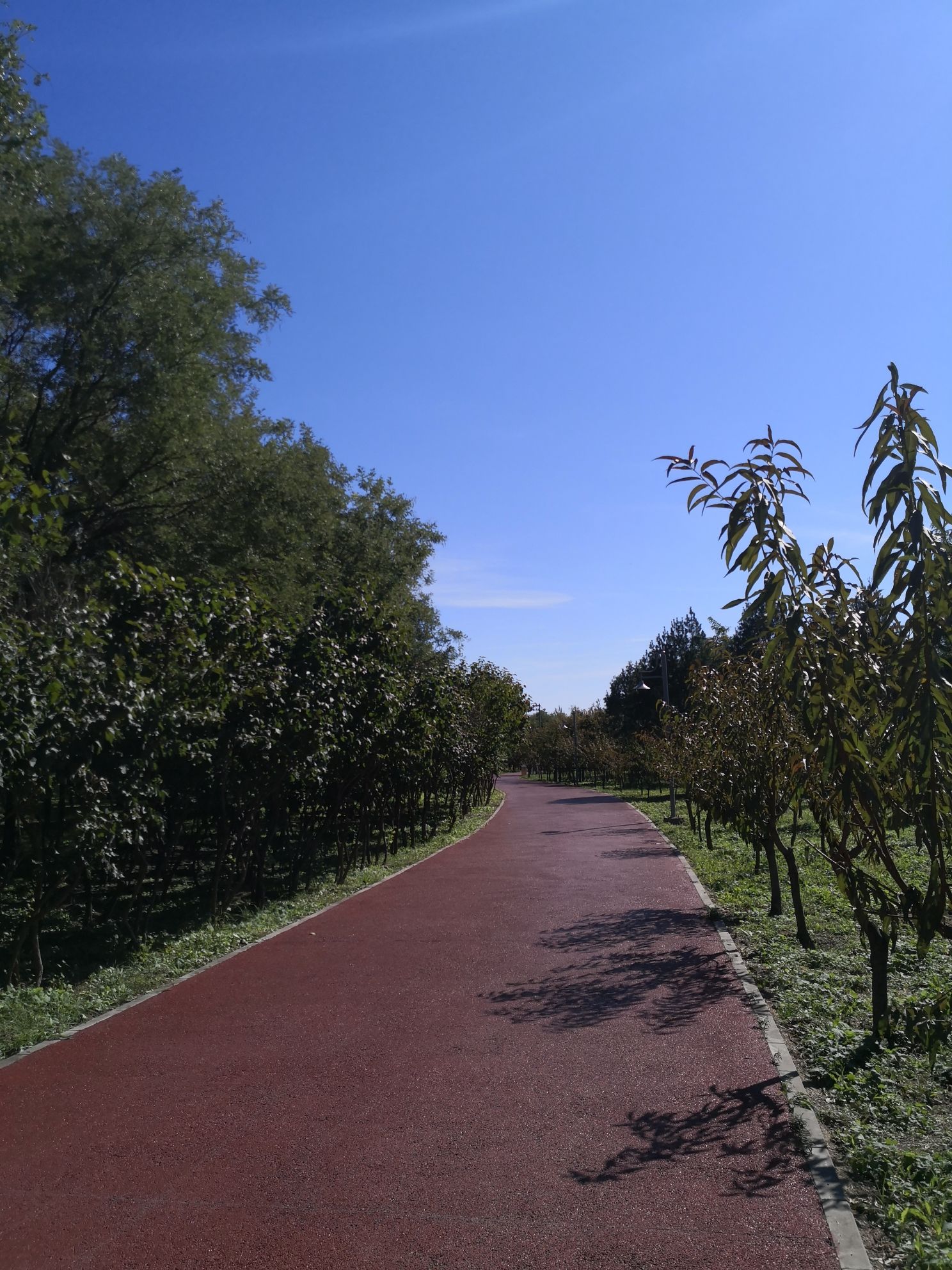 御康公园旅行图片 2