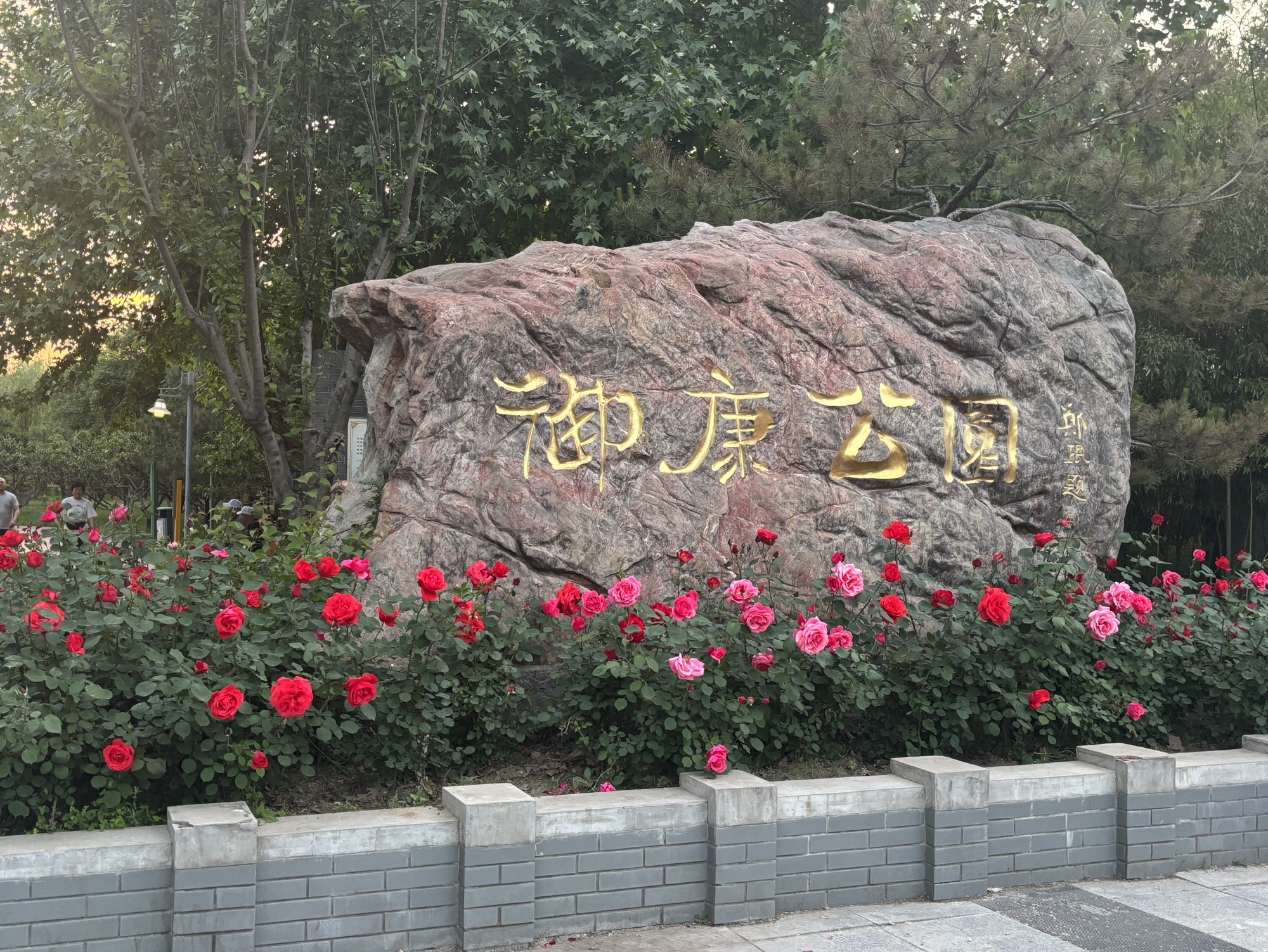 御康公园旅行图片 1