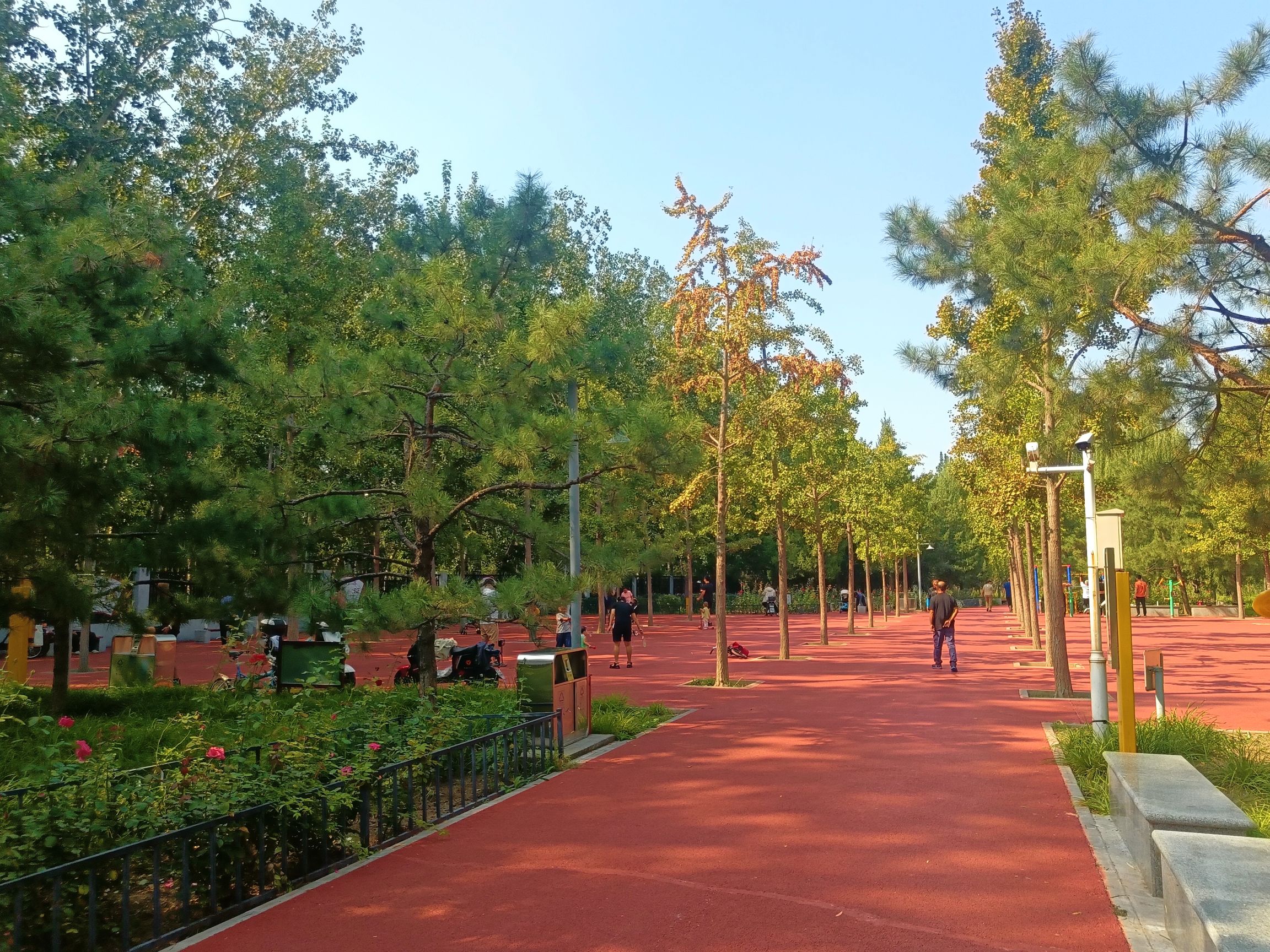 御康公园旅行图片 3