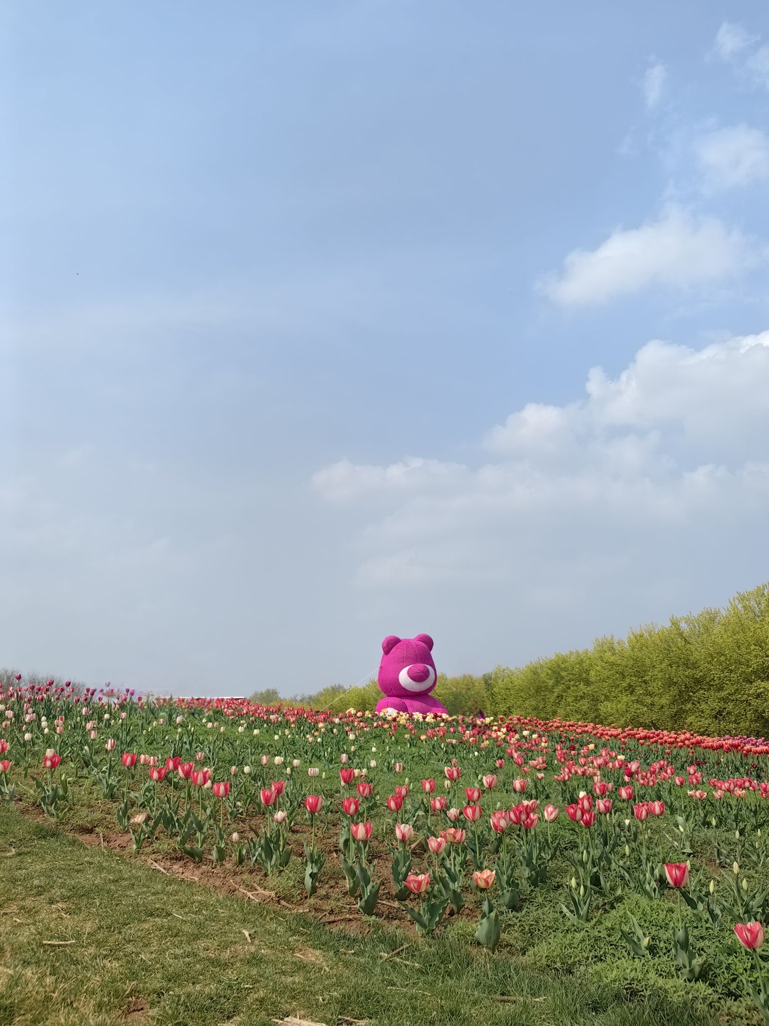 北京国际鲜花港旅行图片 1