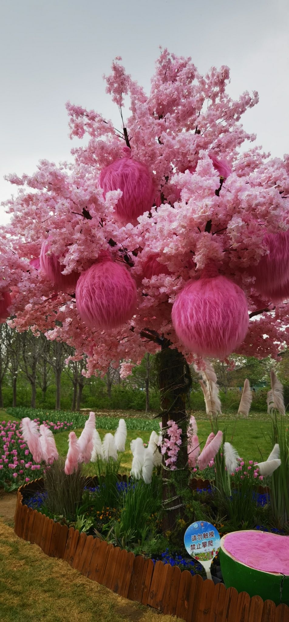 北京国际鲜花港旅行图片 2