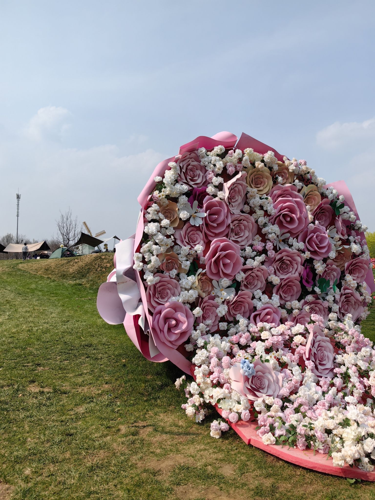 北京国际鲜花港旅行图片 2