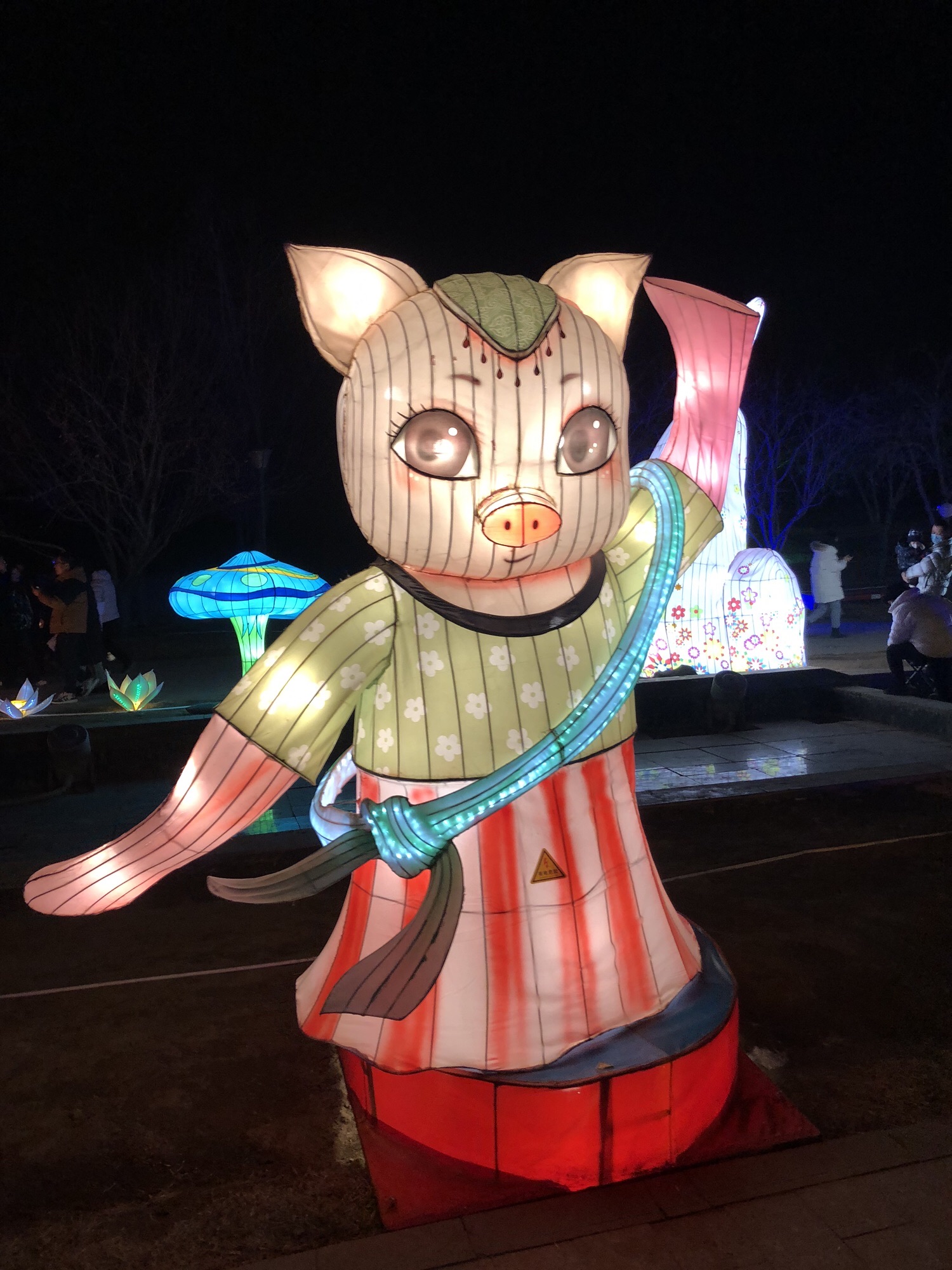 北京国际鲜花港旅行图片 3
