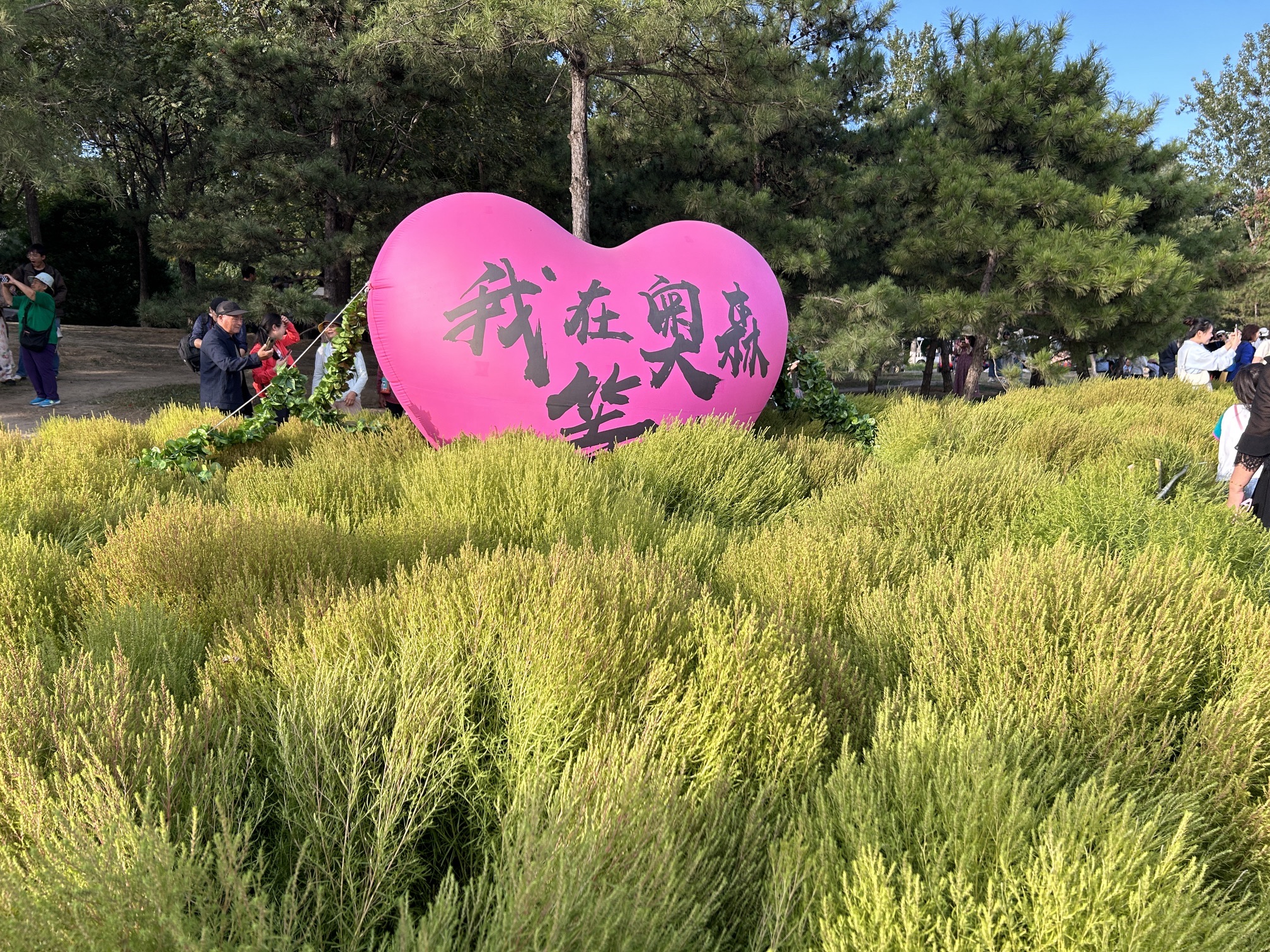 奥林匹克森林公园旅行图片 1
