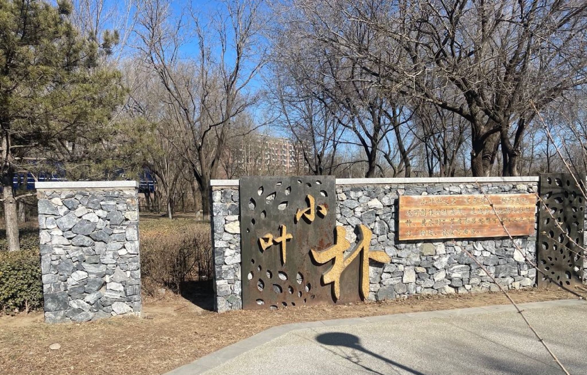 树村公园旅行图片 1
