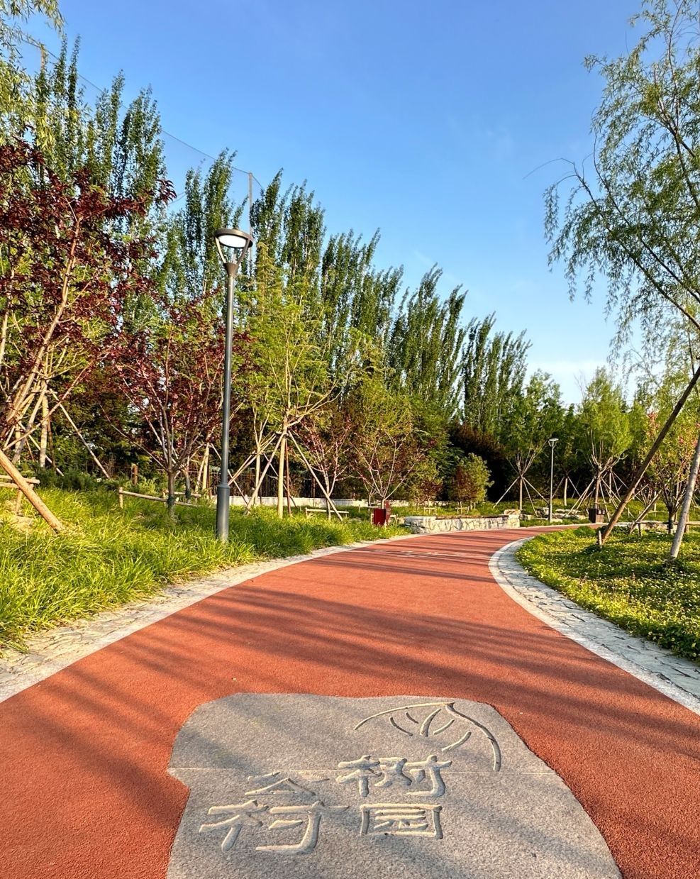 树村公园旅行图片 2
