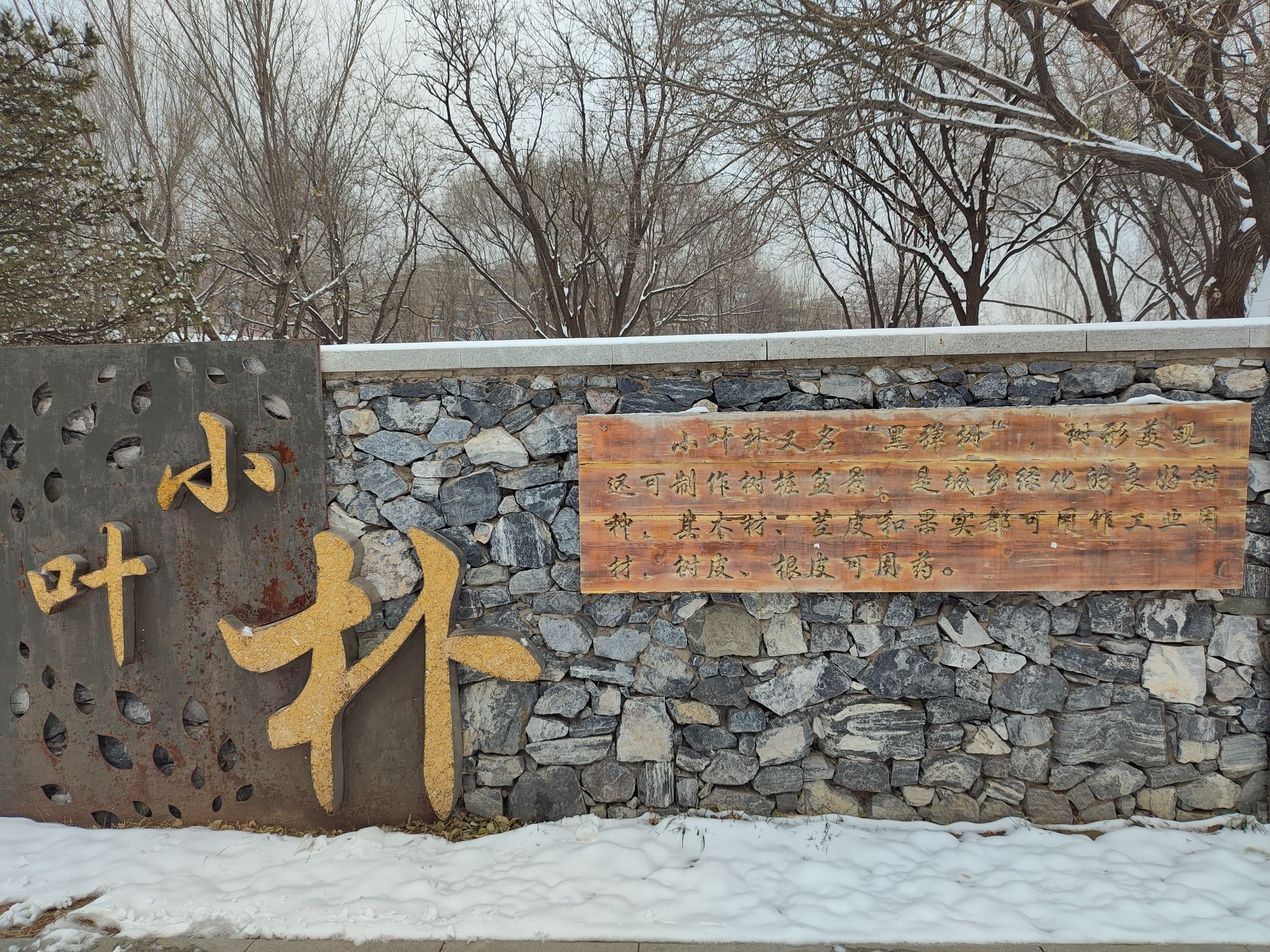 树村公园旅行图片 2