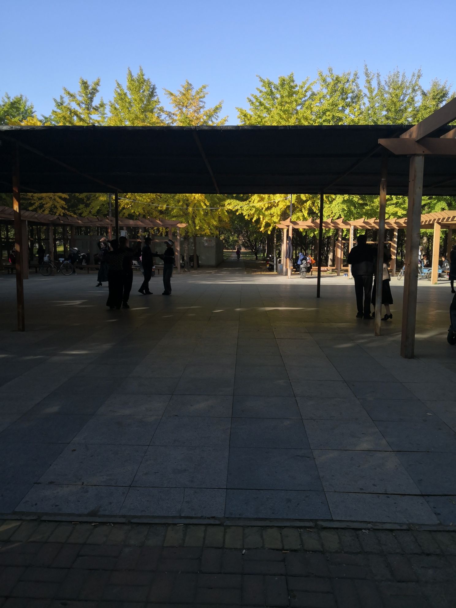 天元公园旅行图片 3