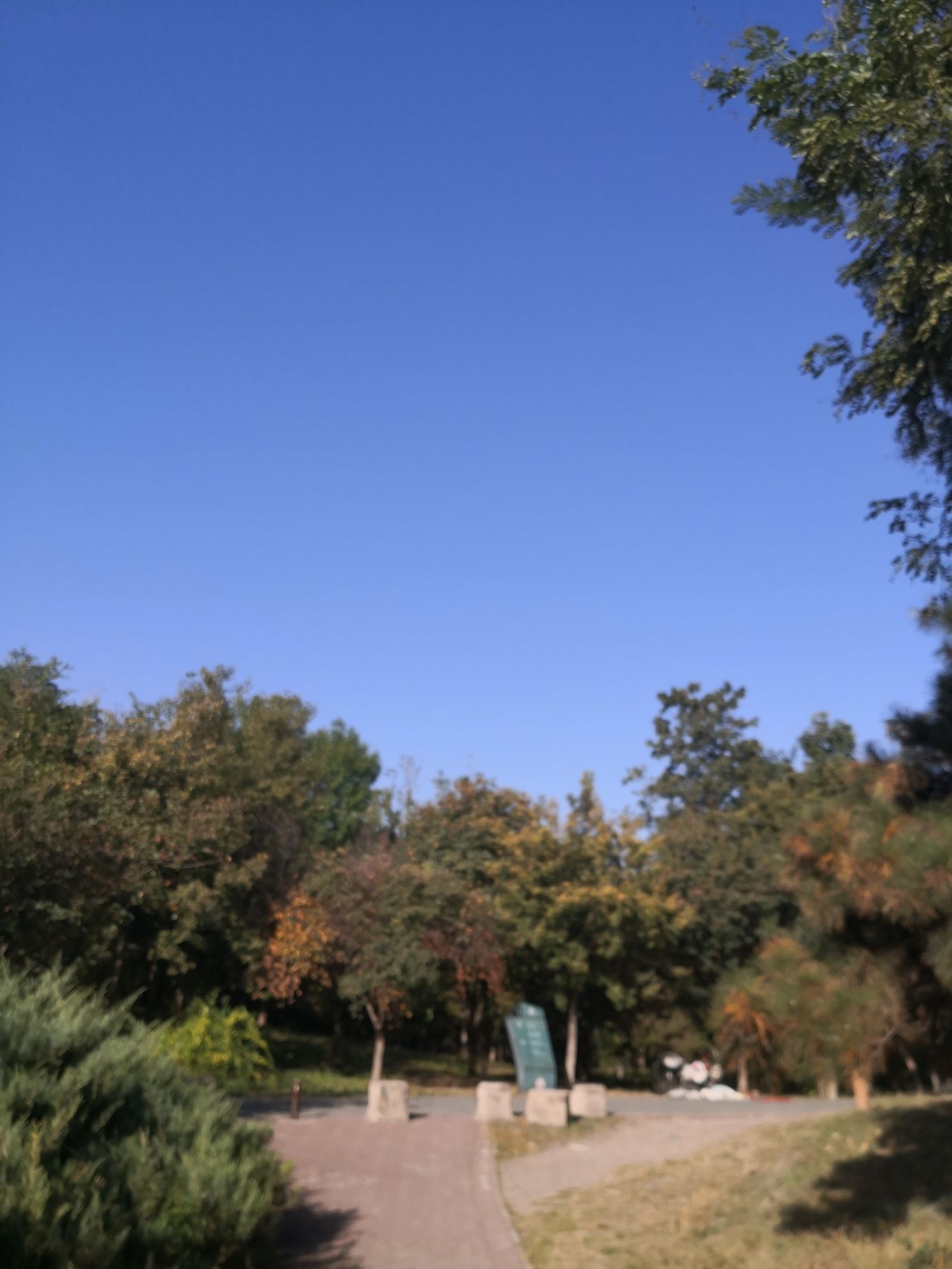 天元公园旅行图片 2