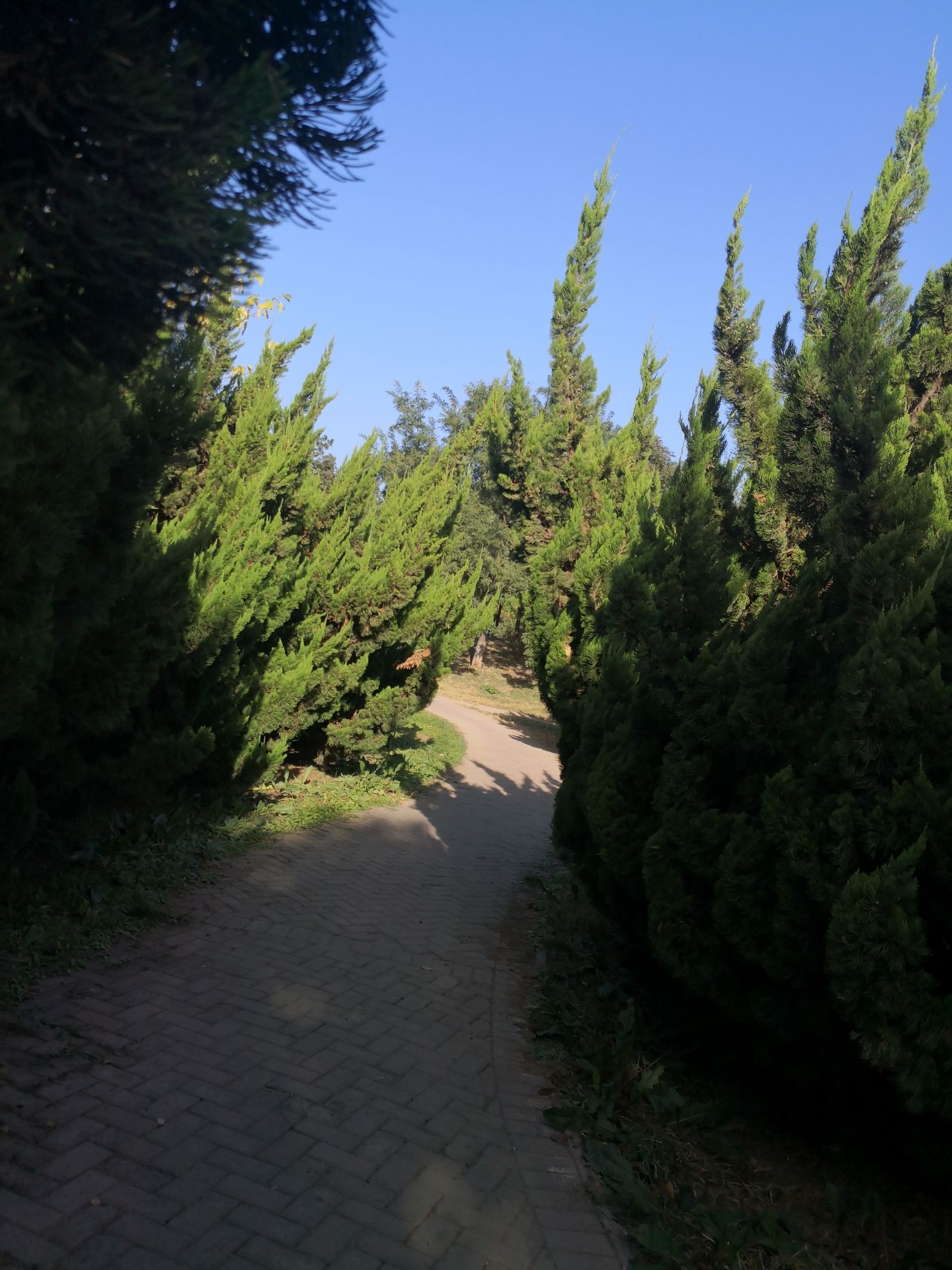 天元公园旅行图片 1