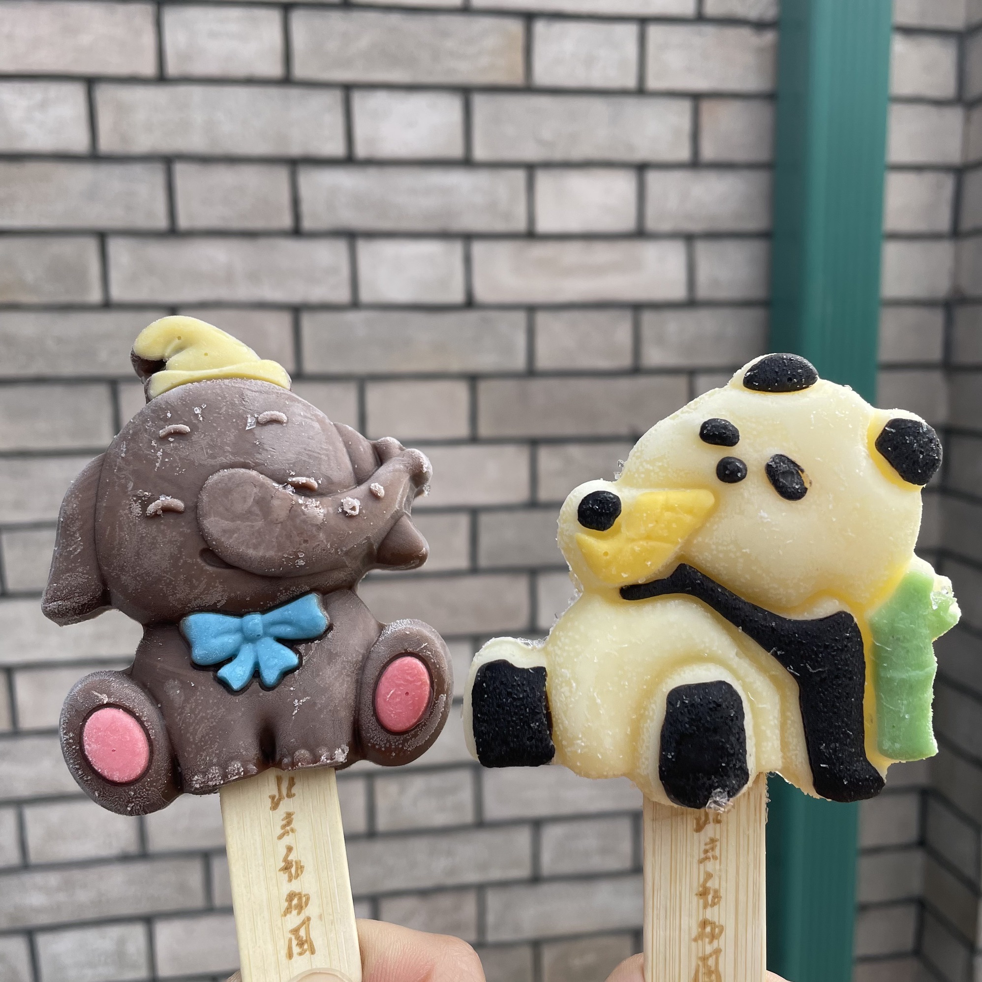 北京动物园旅行图片 3