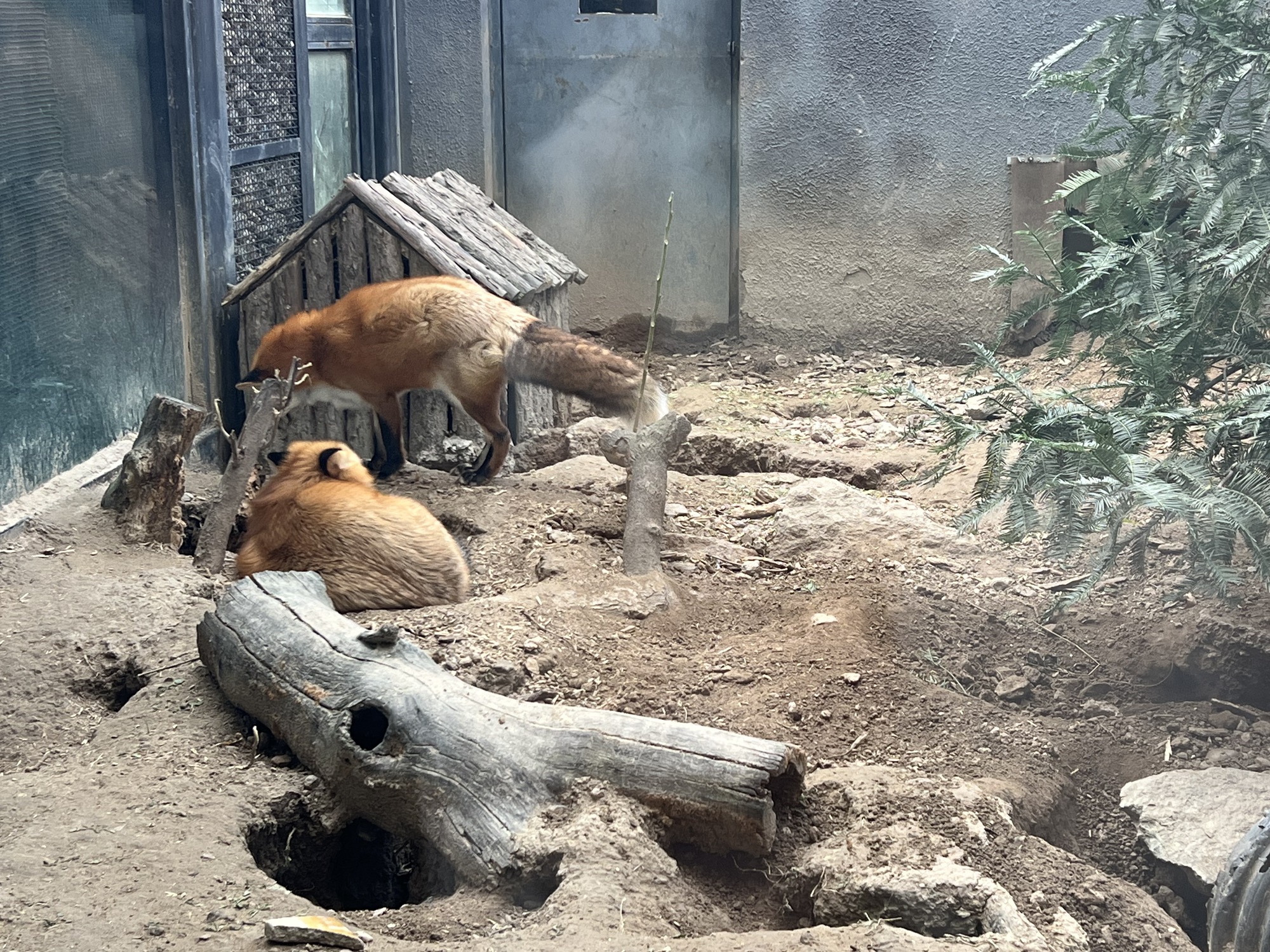 北京动物园旅行图片 2