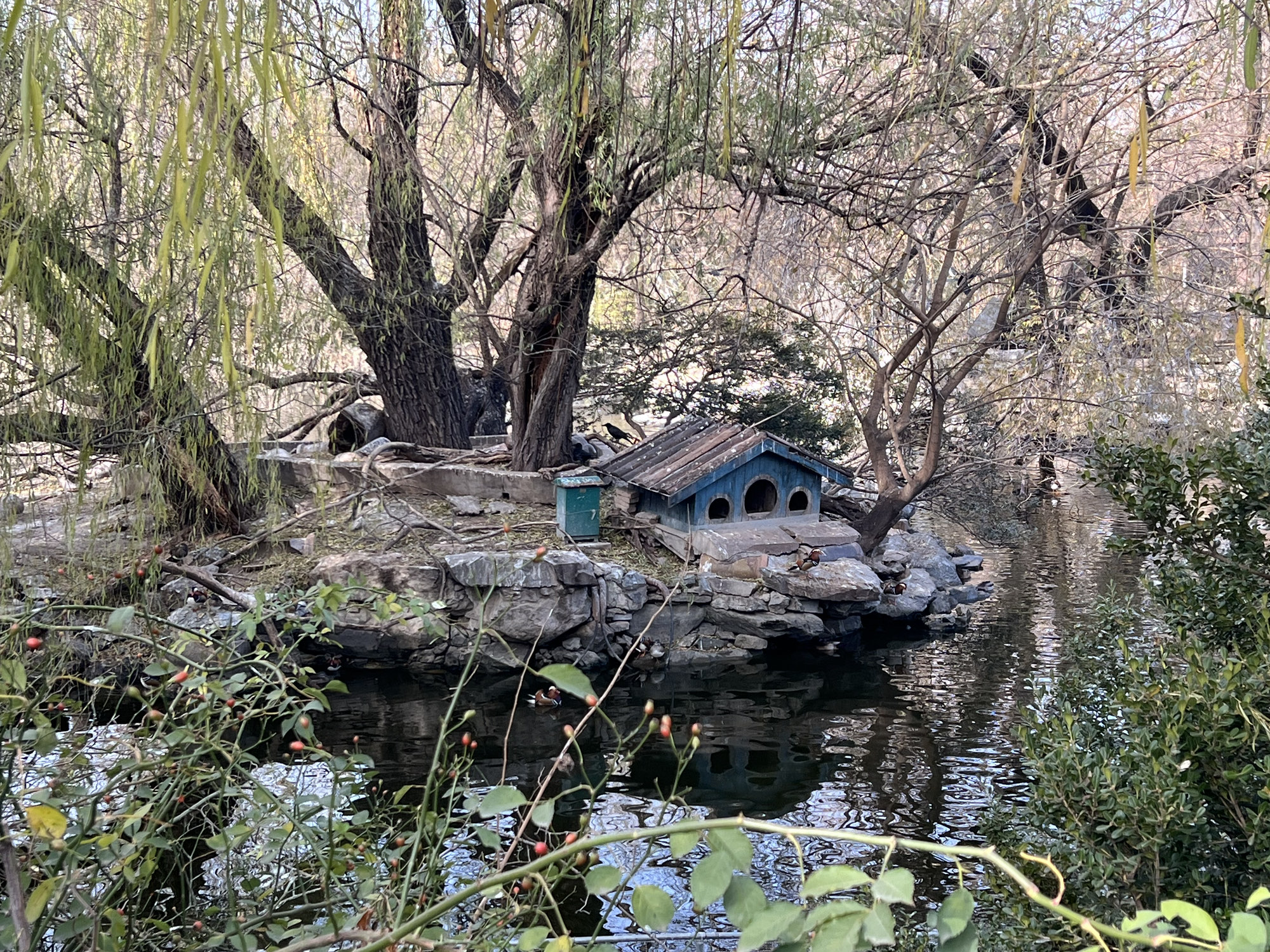 北京动物园旅行图片 1