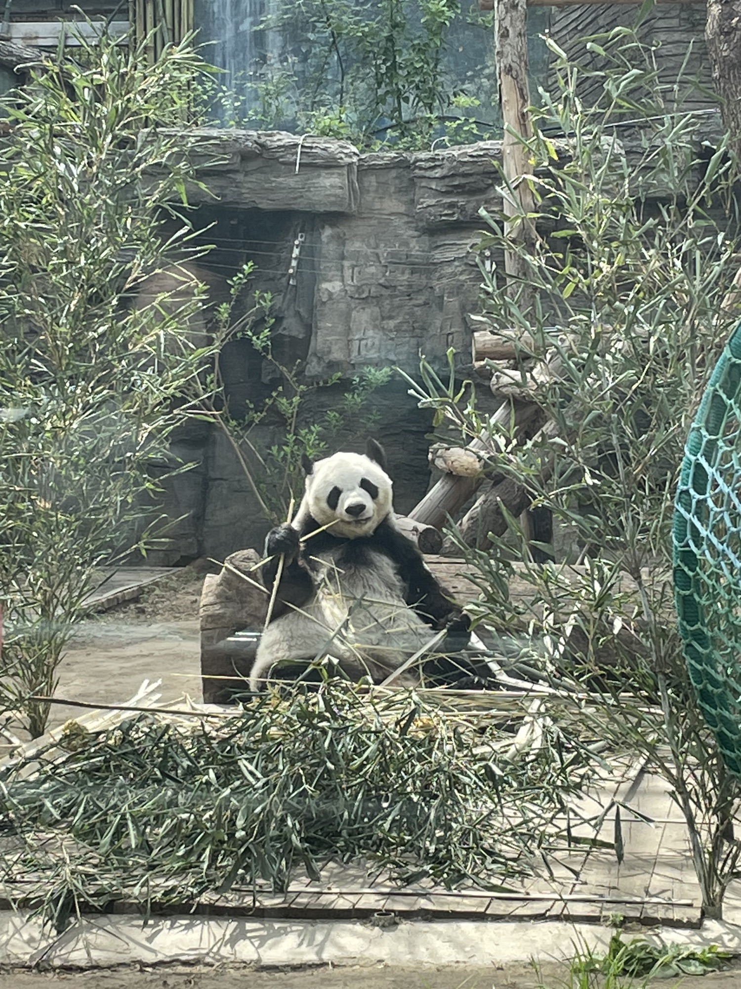 北京动物园旅行图片 2