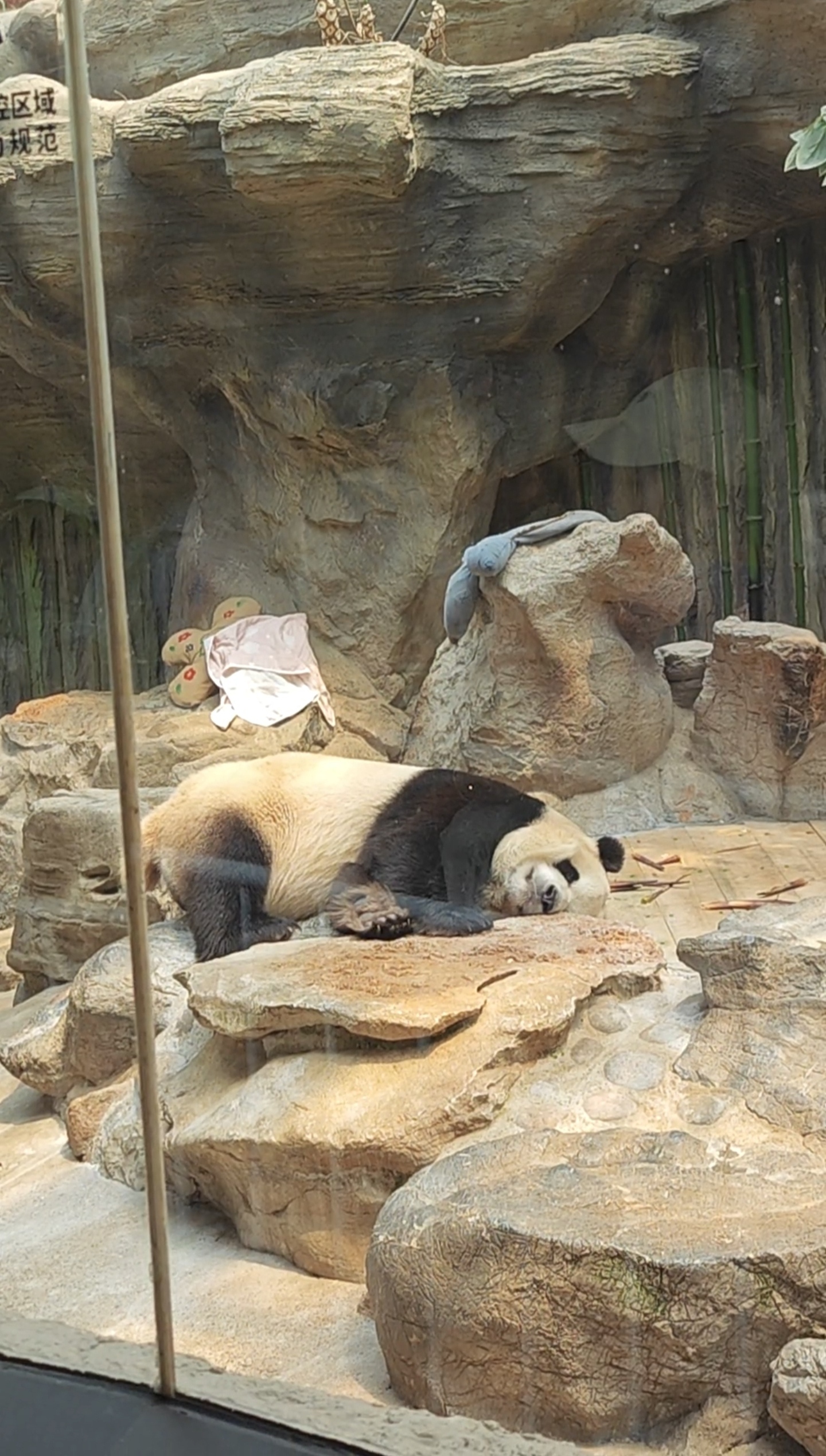 北京动物园旅行图片 2