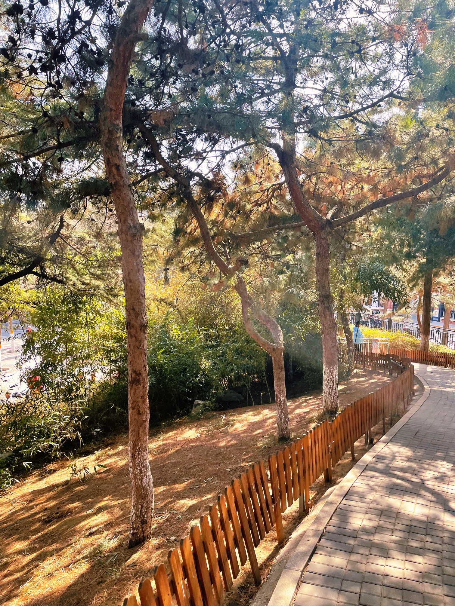 石景山古城公园旅行图片 1