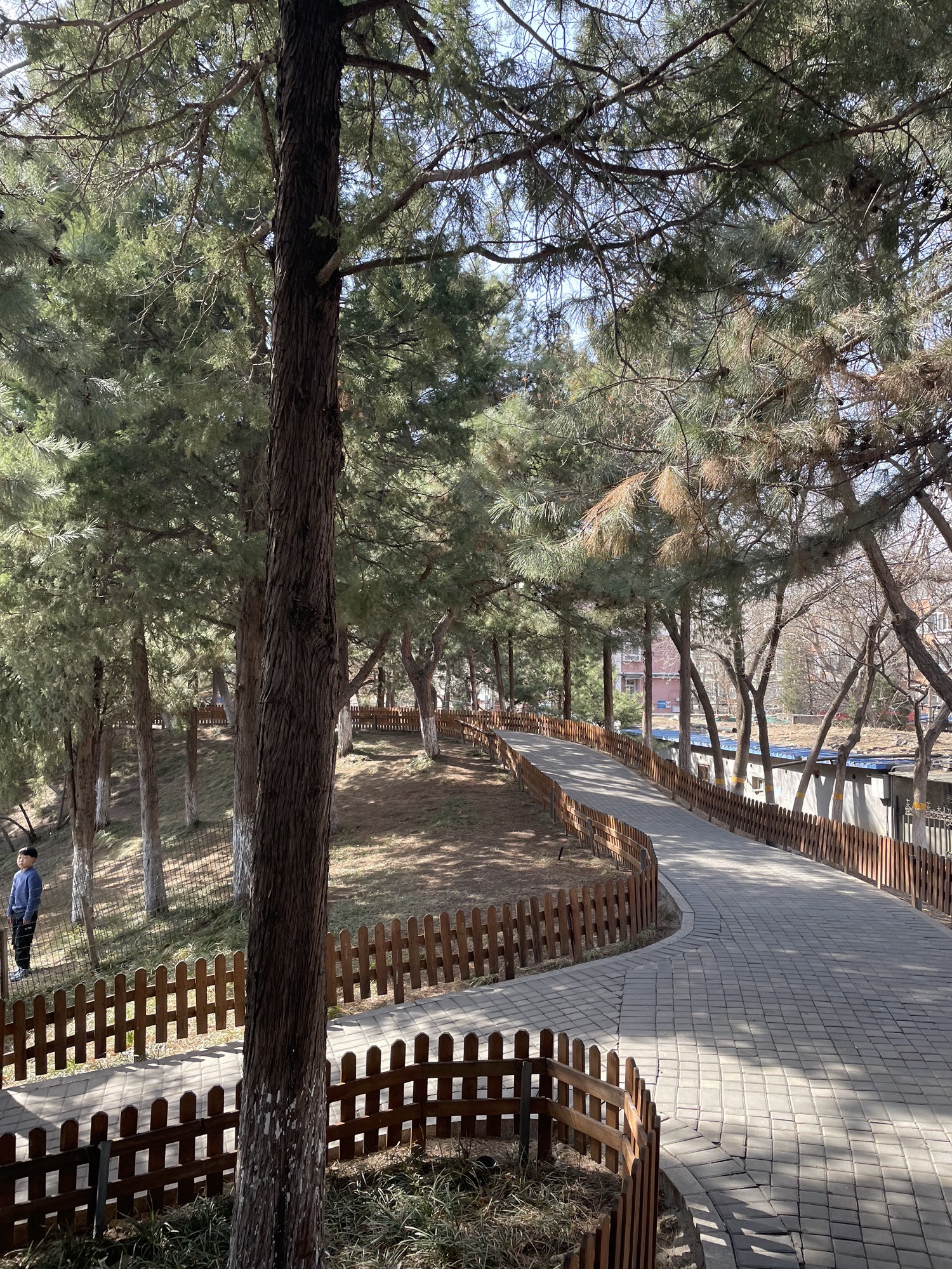 石景山古城公园旅行图片 3