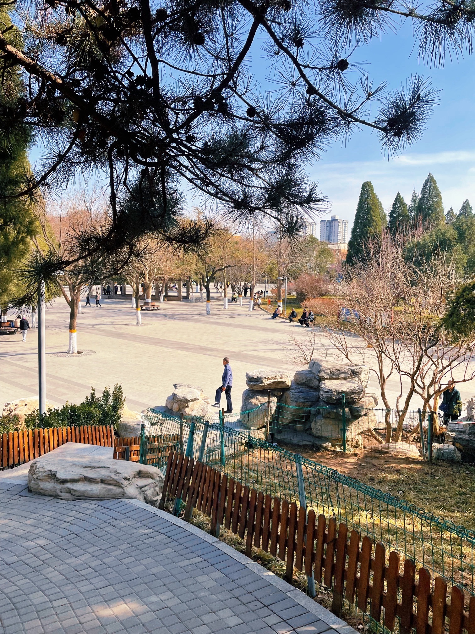 石景山古城公园旅行图片 2