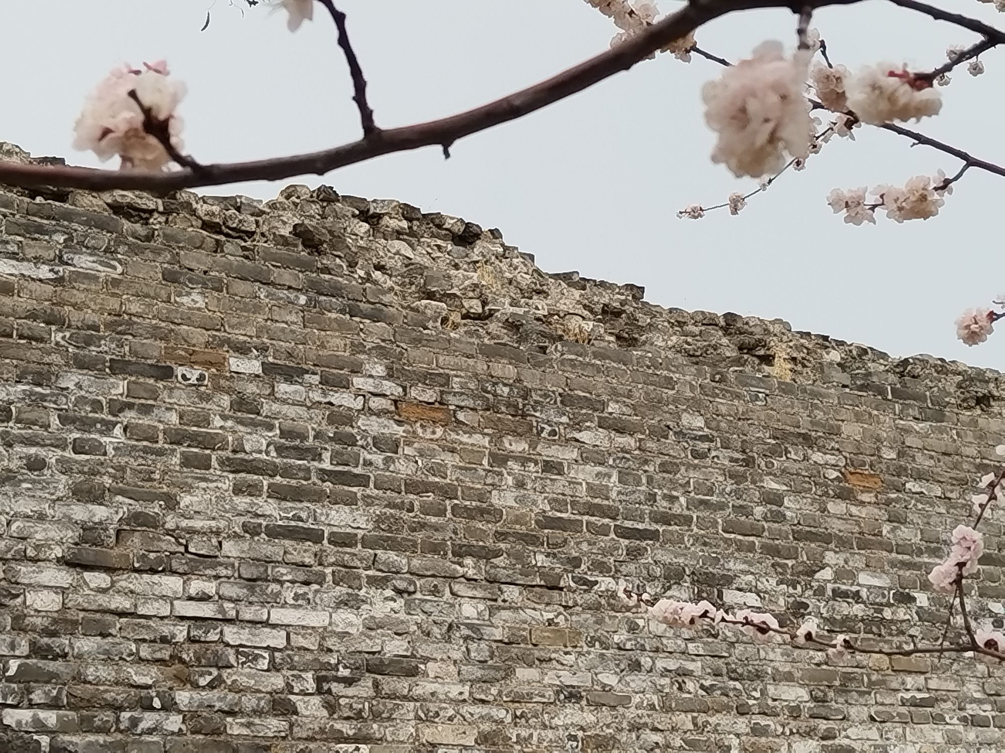 北京明城墙遗址公园旅行图片 2