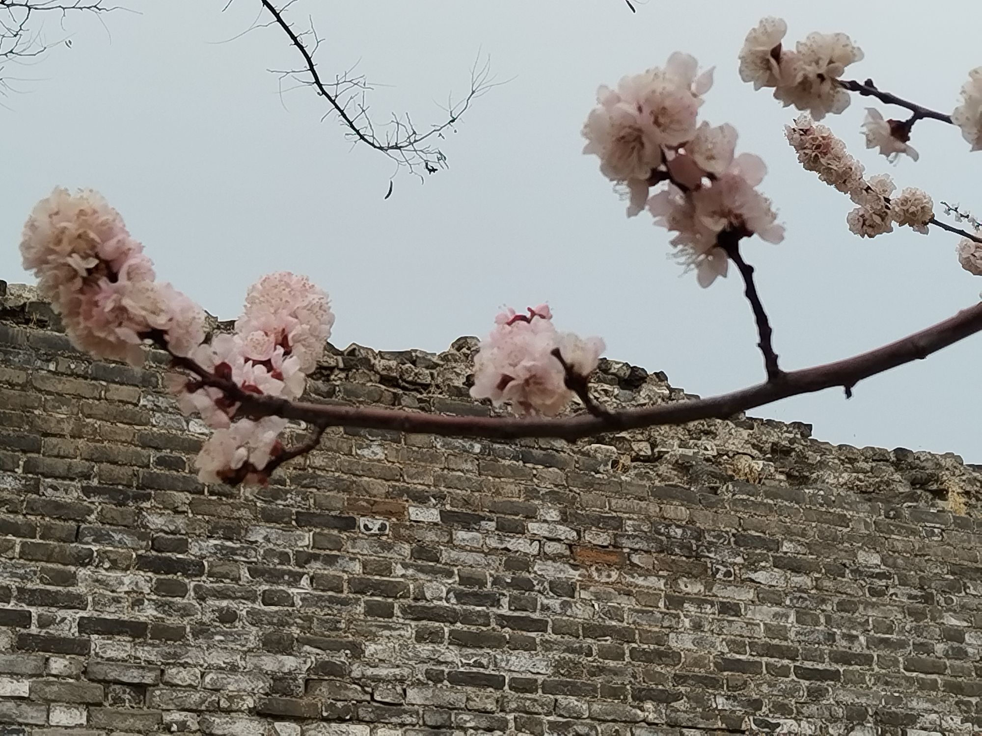 北京明城墙遗址公园旅行图片 3