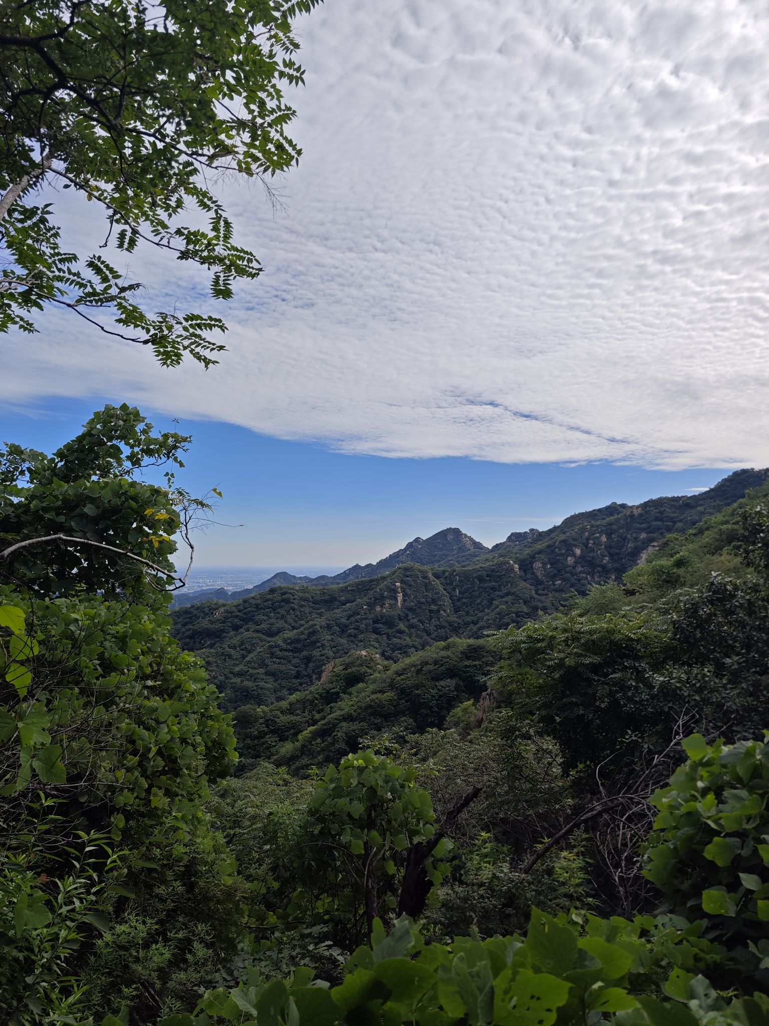 九谷口自然风景区旅行图片 3