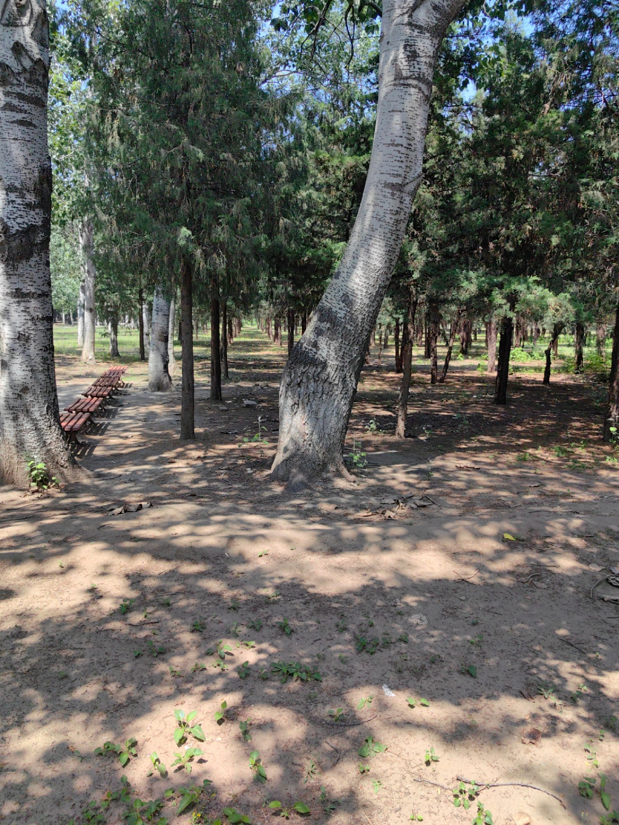 鸿博公园旅行图片 3
