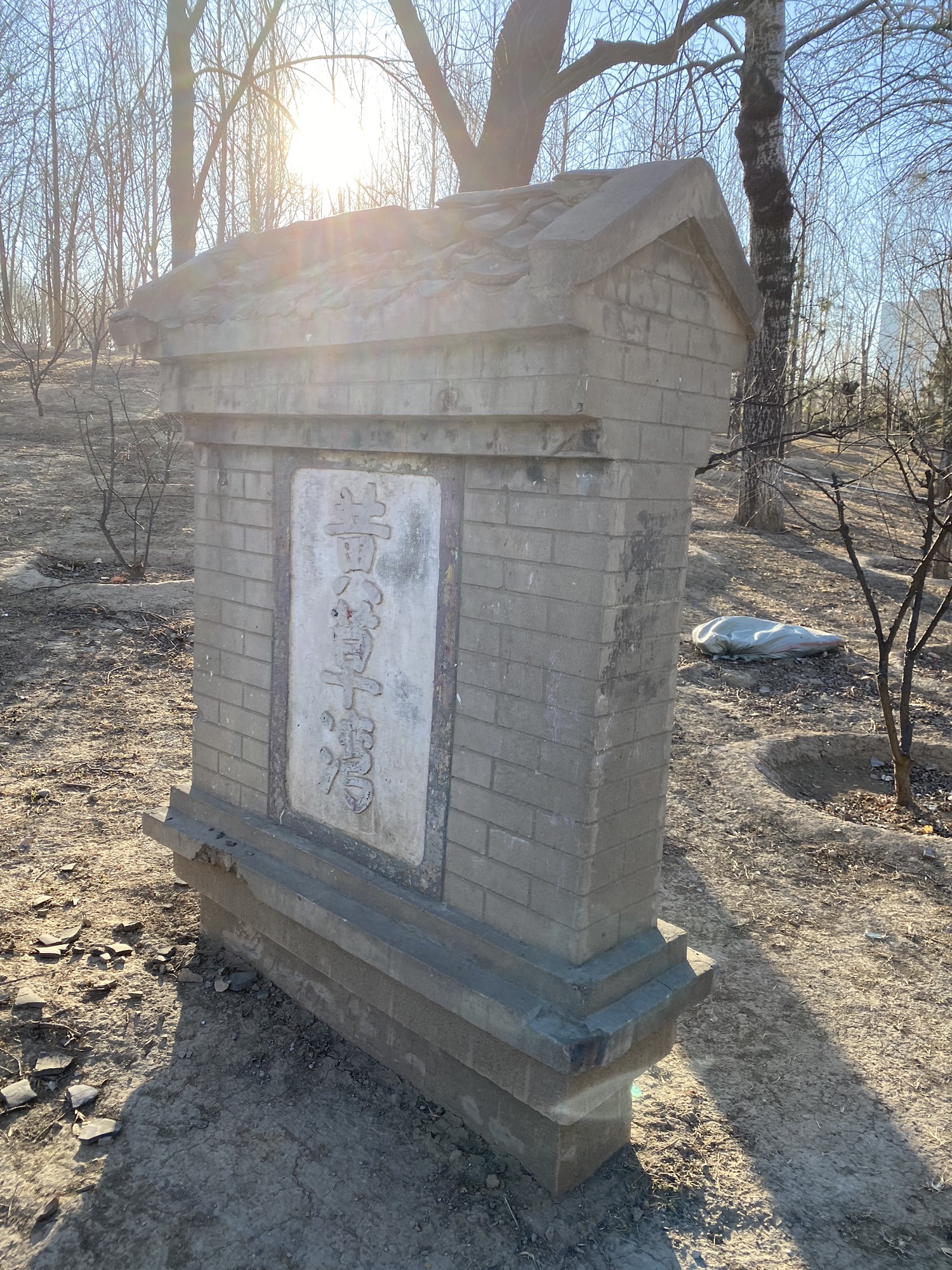 黄草湾郊野公园旅行图片 3
