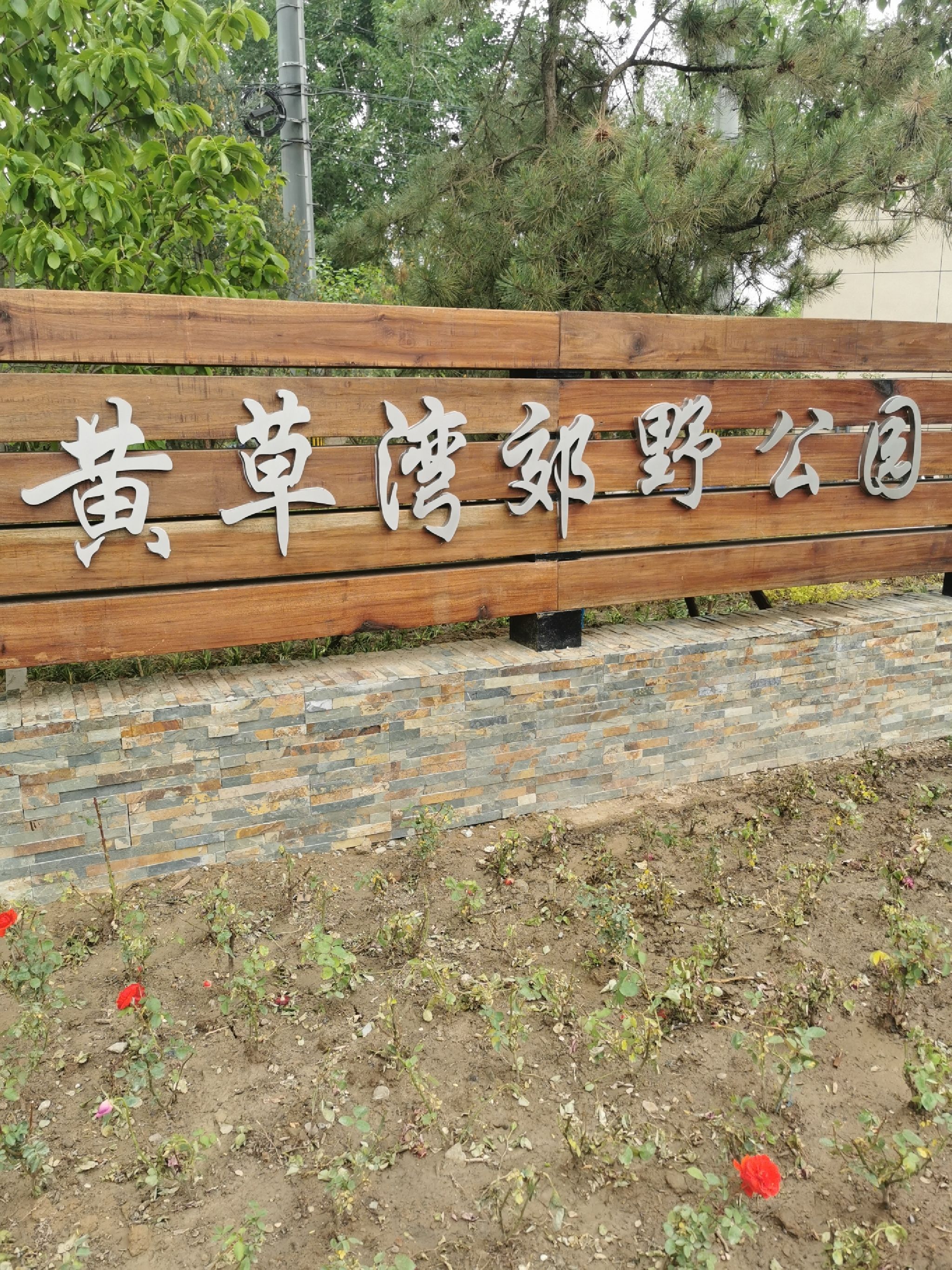 黄草湾郊野公园旅行图片 1