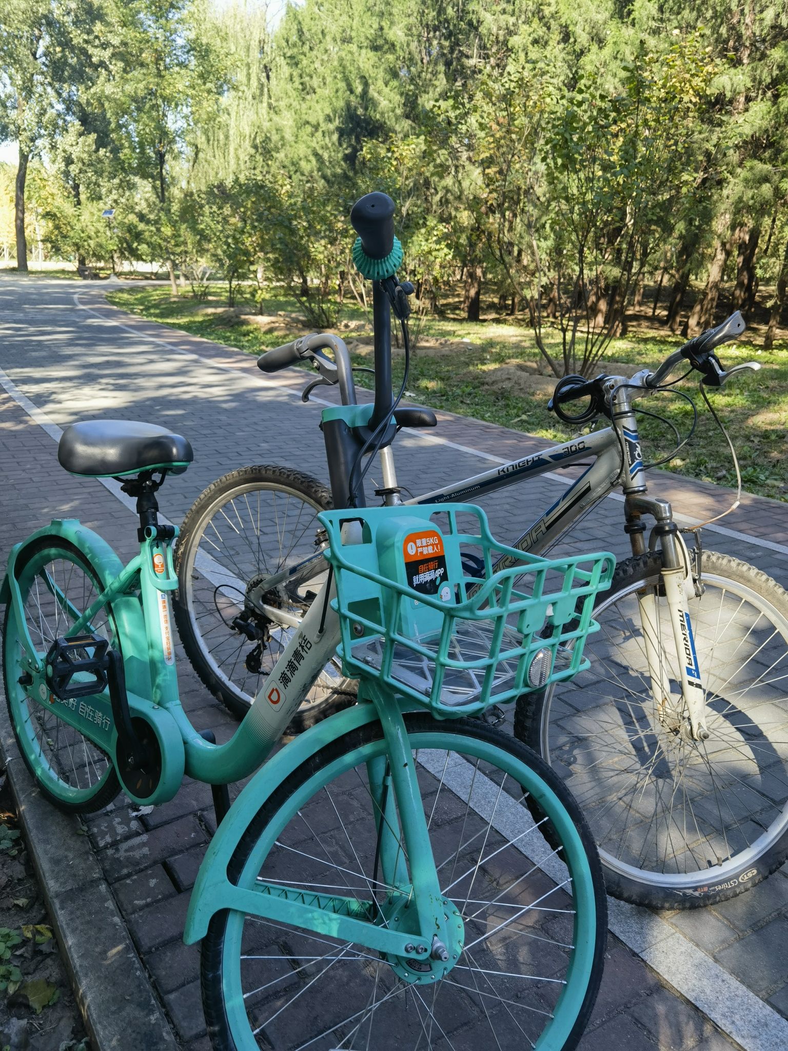黄草湾郊野公园旅行图片 2