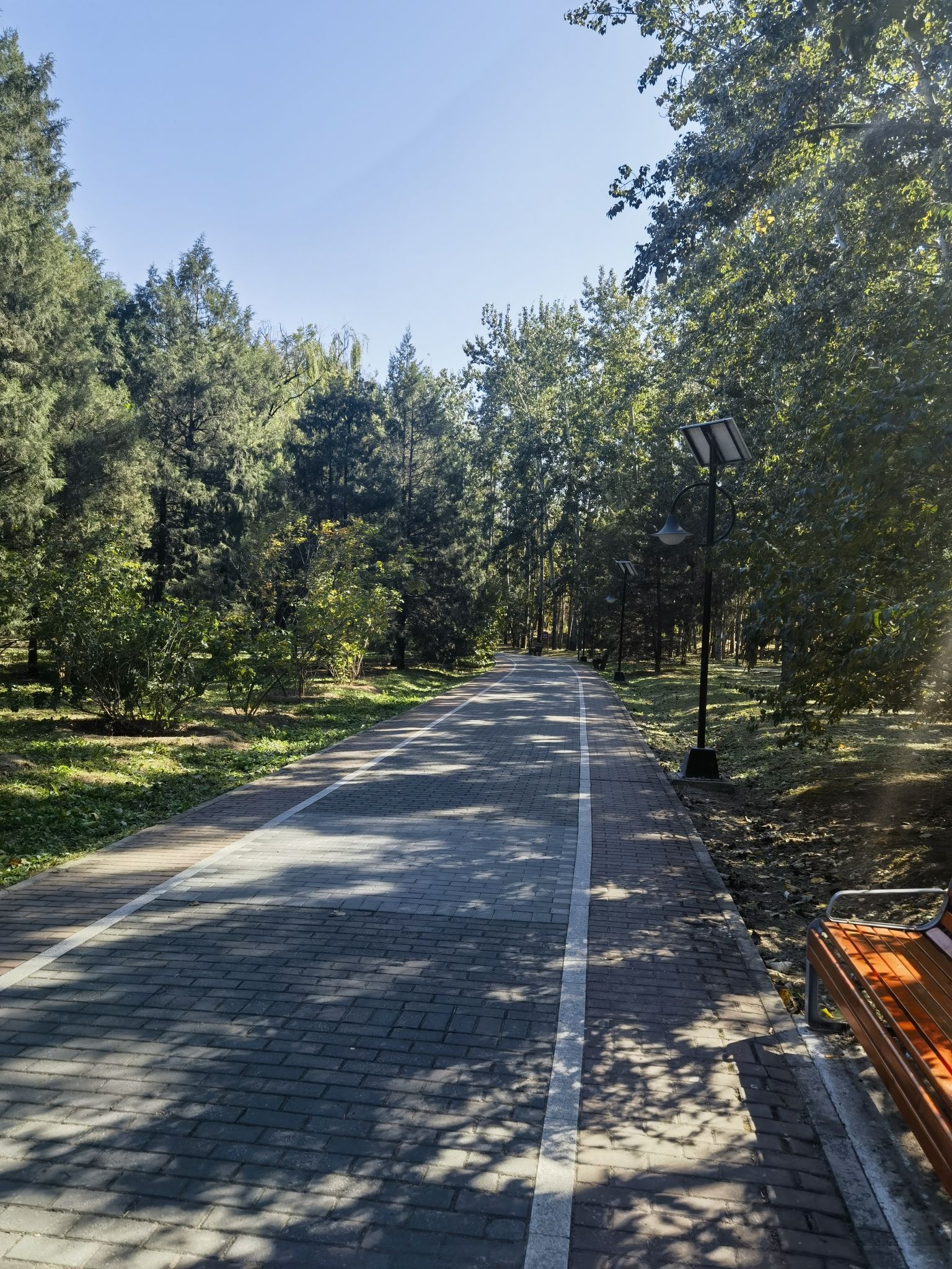 黄草湾郊野公园旅行图片 3