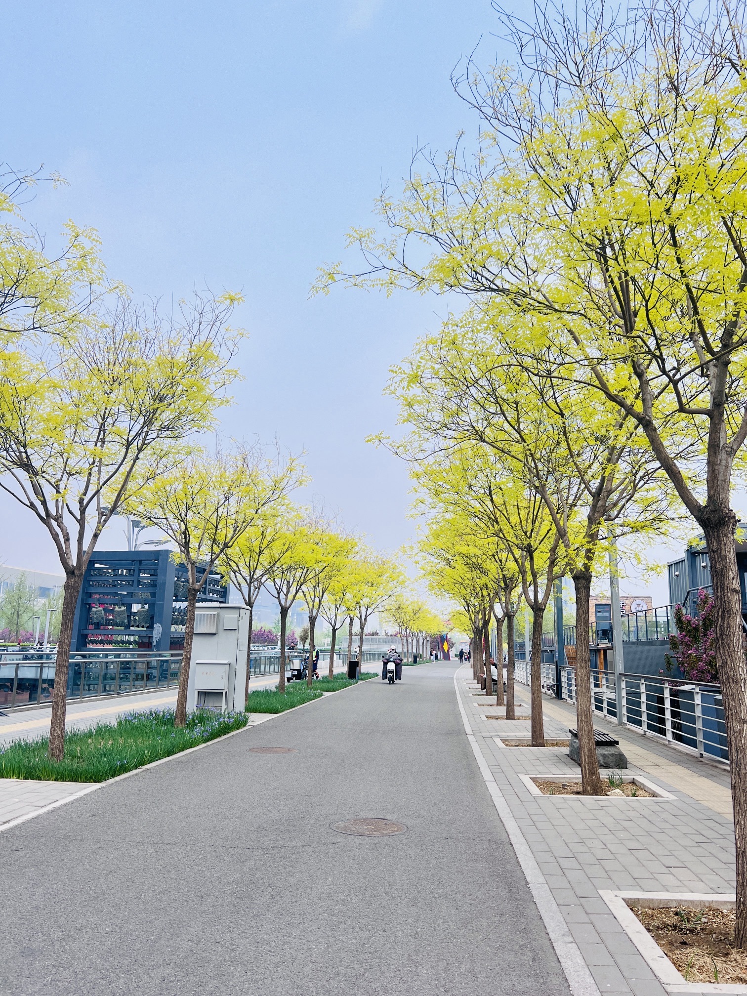 奥林匹克公园中心区旅行图片 3
