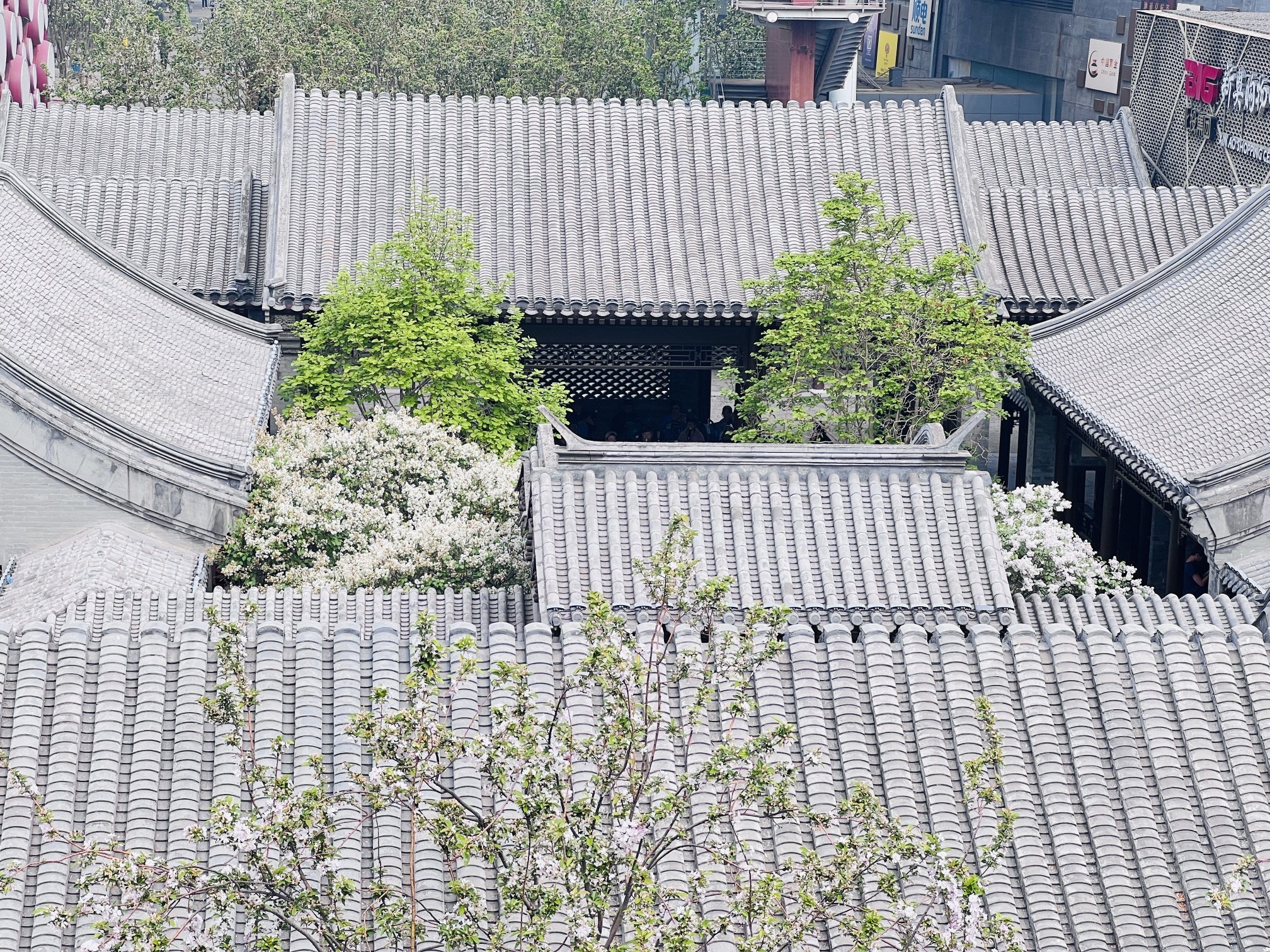奥林匹克公园中心区旅行图片 2